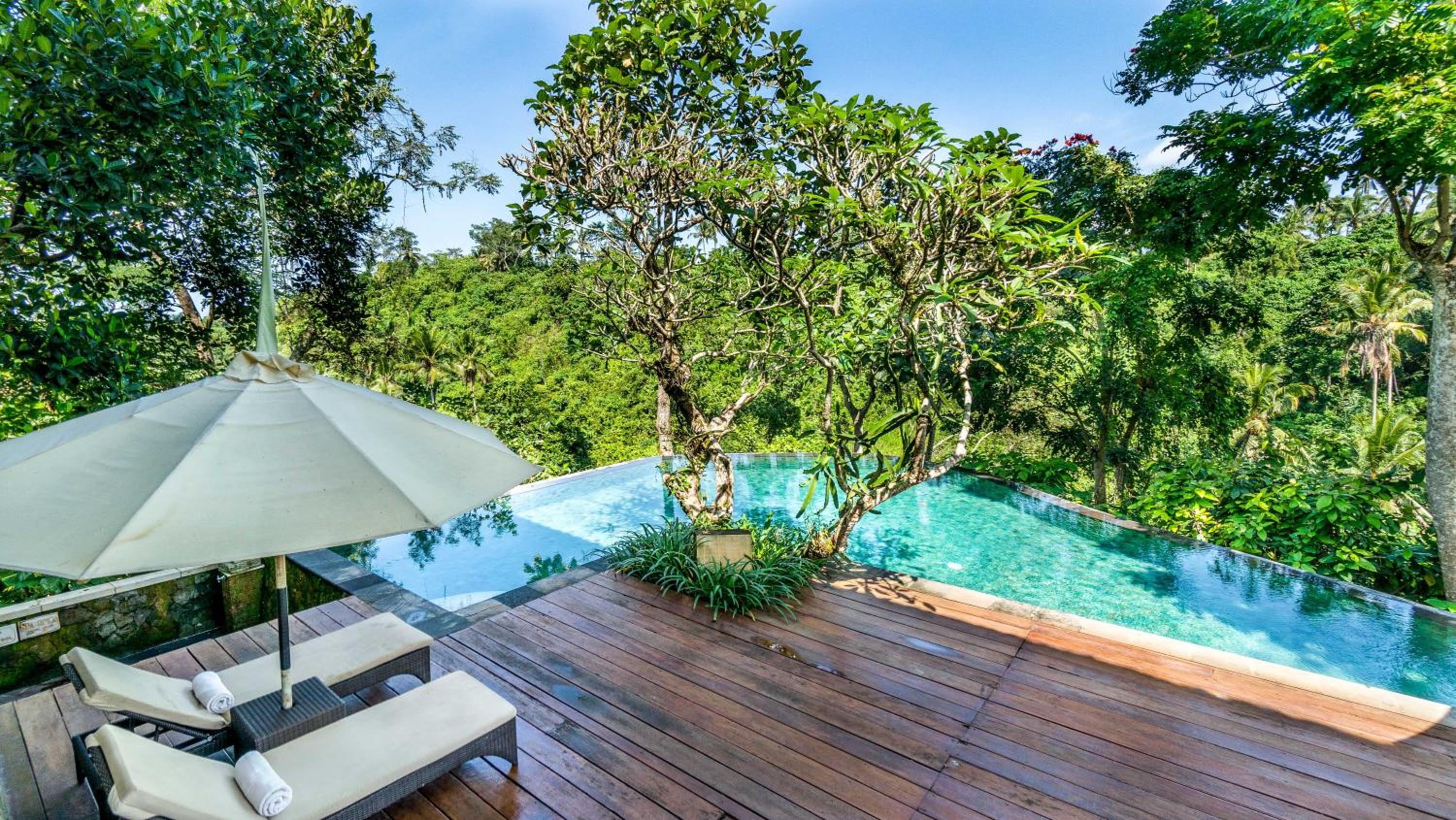 Natura Resort and Spa Ubud view 3