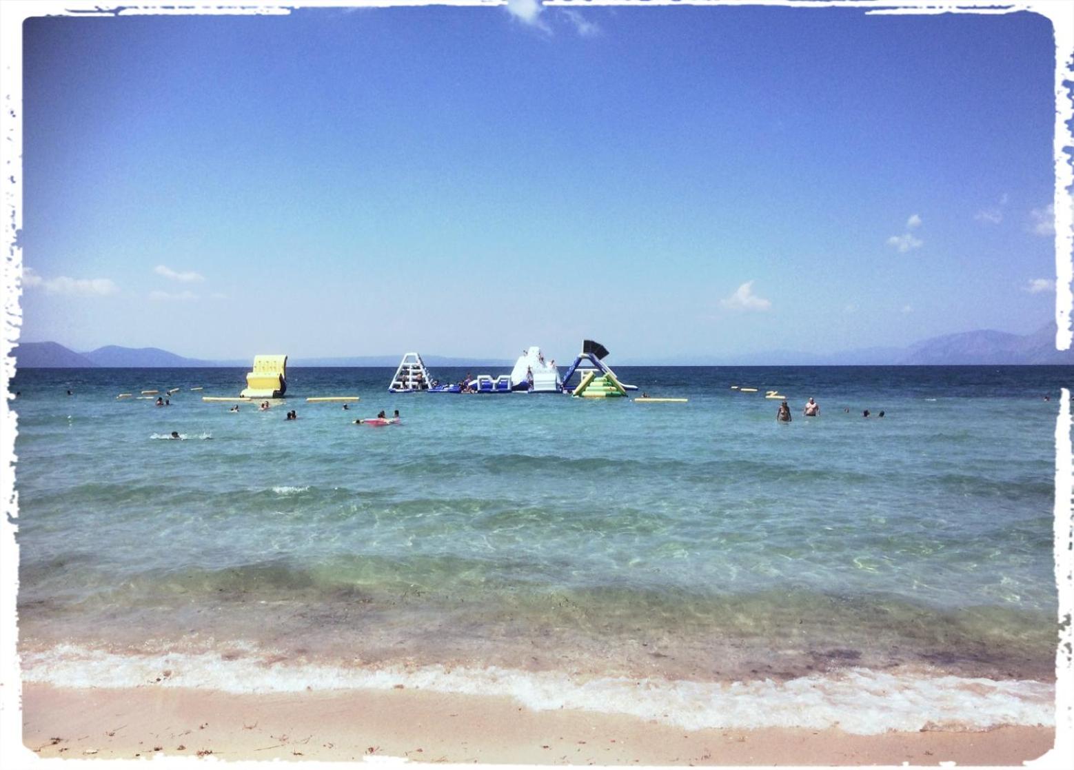 Photo 42