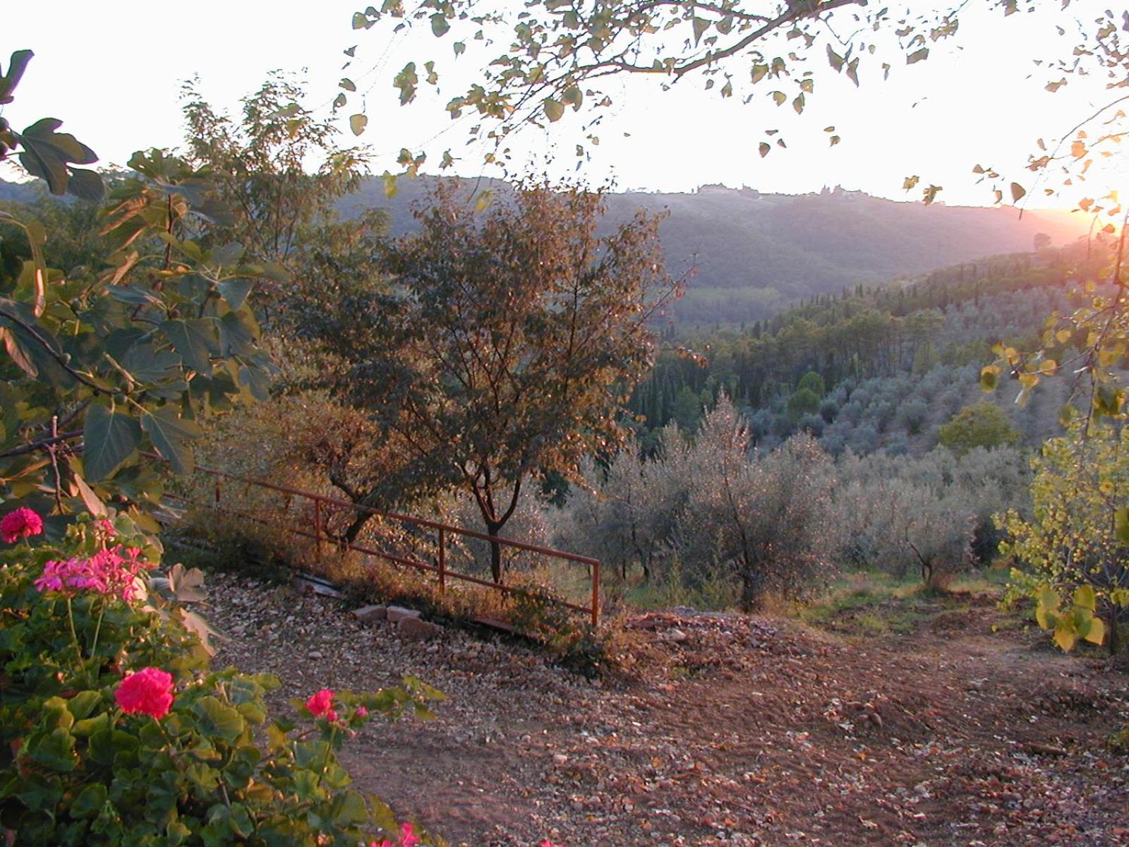 Poggio Borgoni photo 2