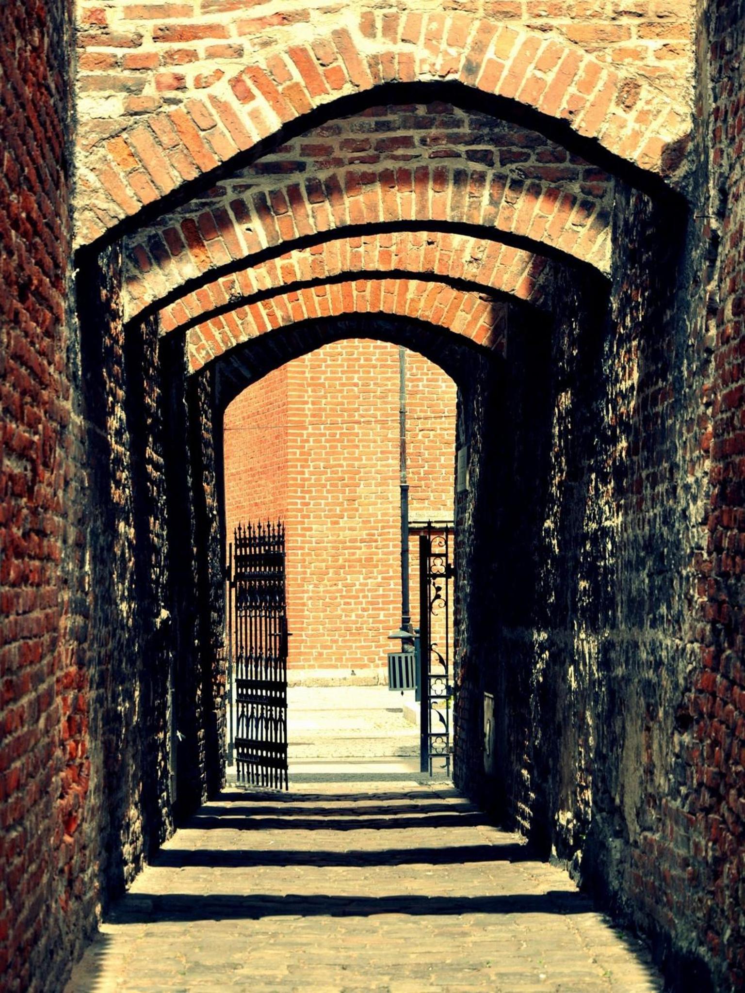 Photo 47