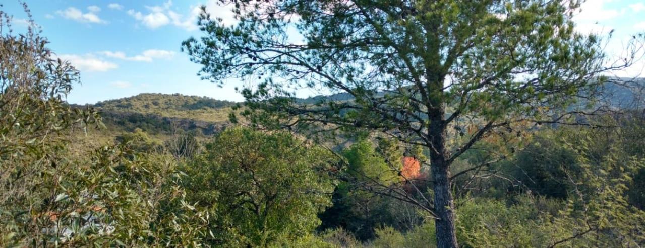 Cuesta los Robles -Casas Serranas-