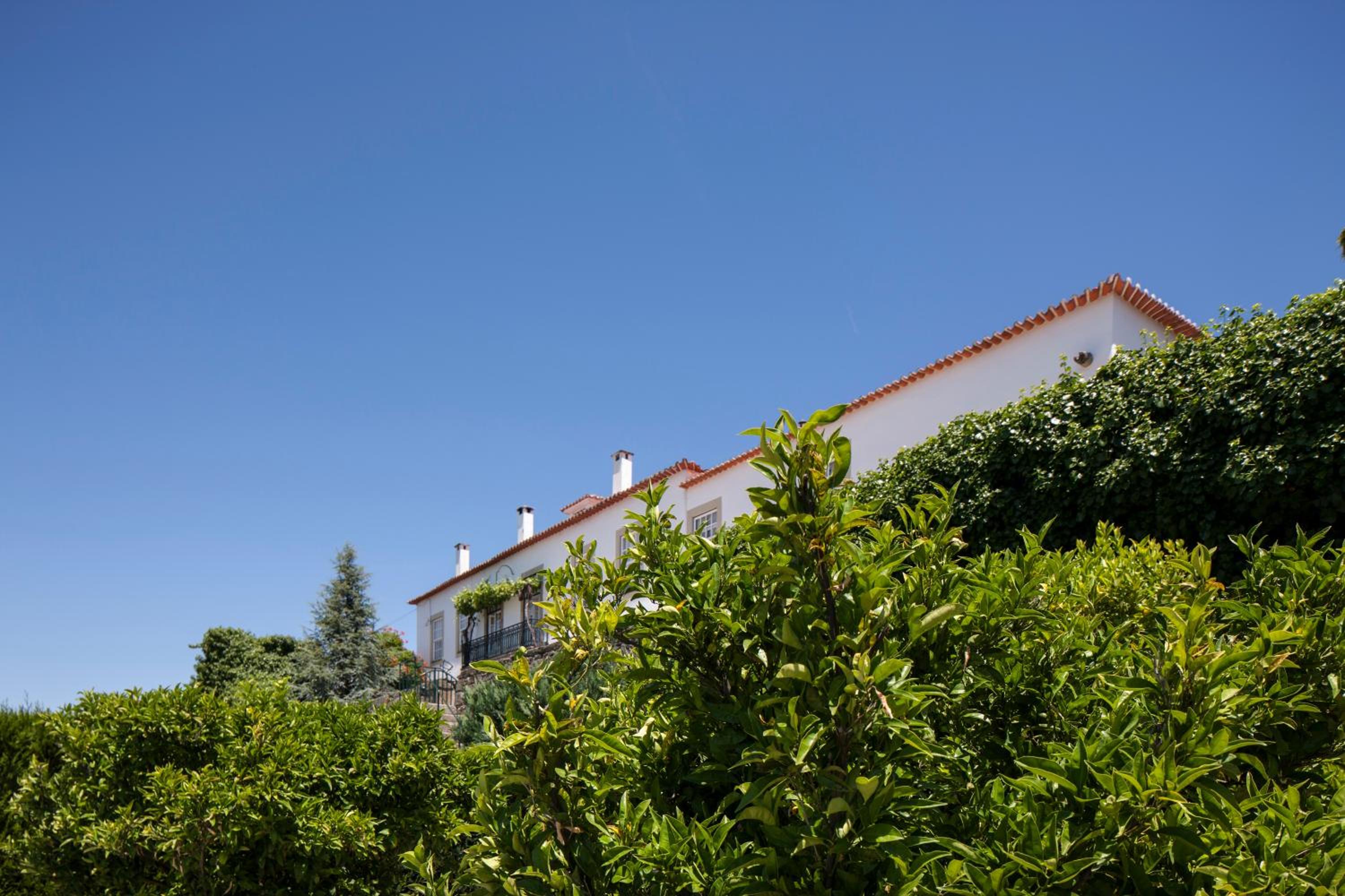 Photo 48