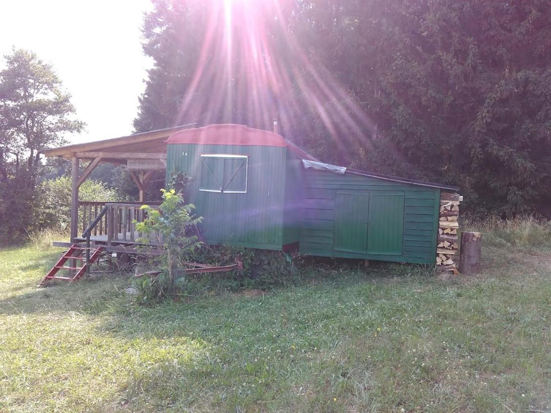 Photo 12