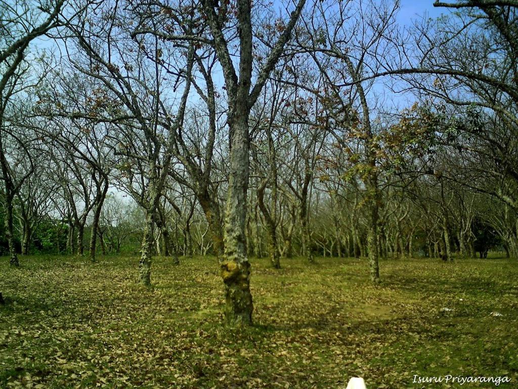 Photo 24