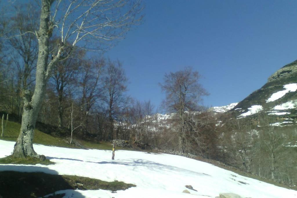 Photo 21