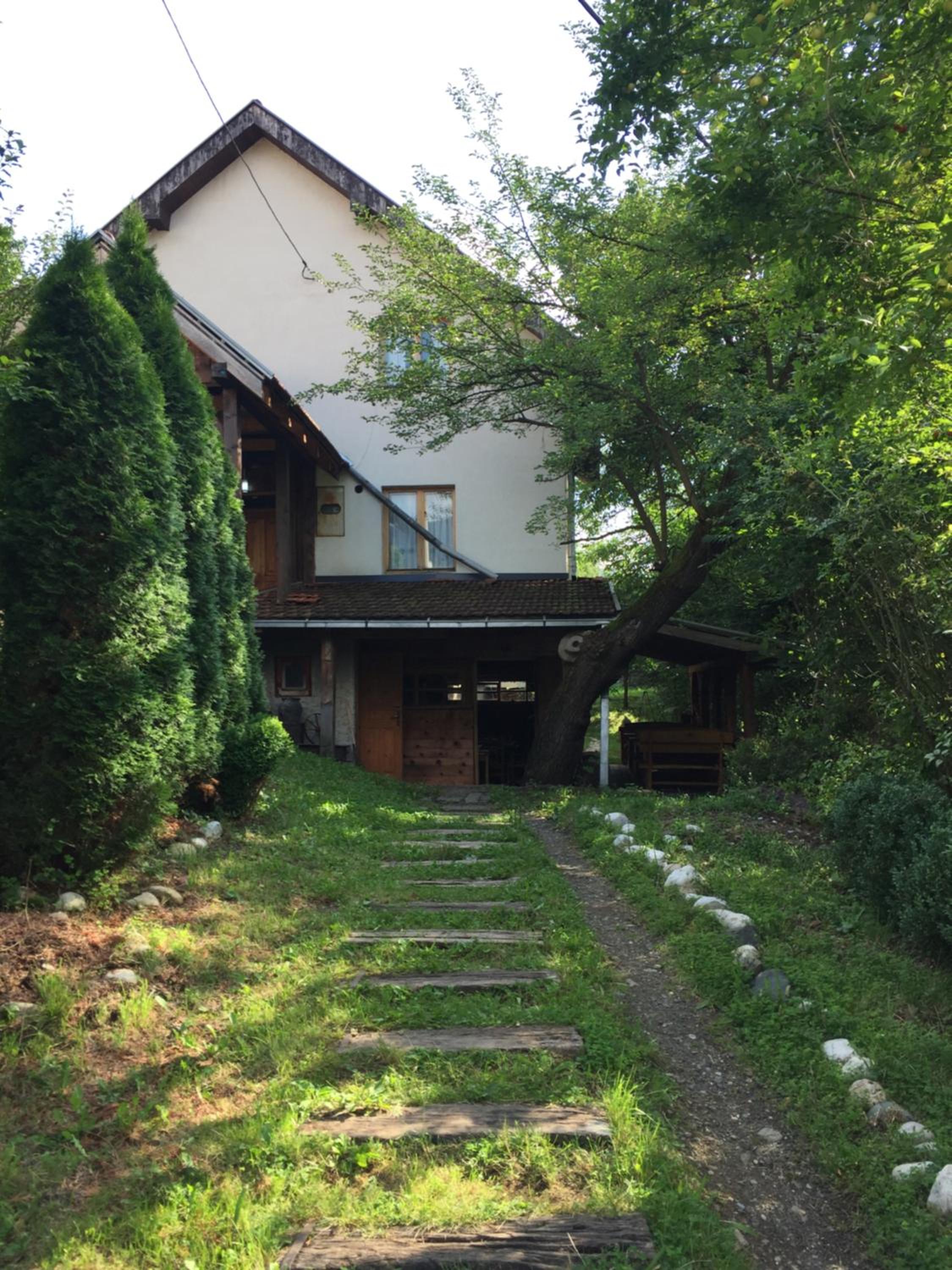 Photo 13