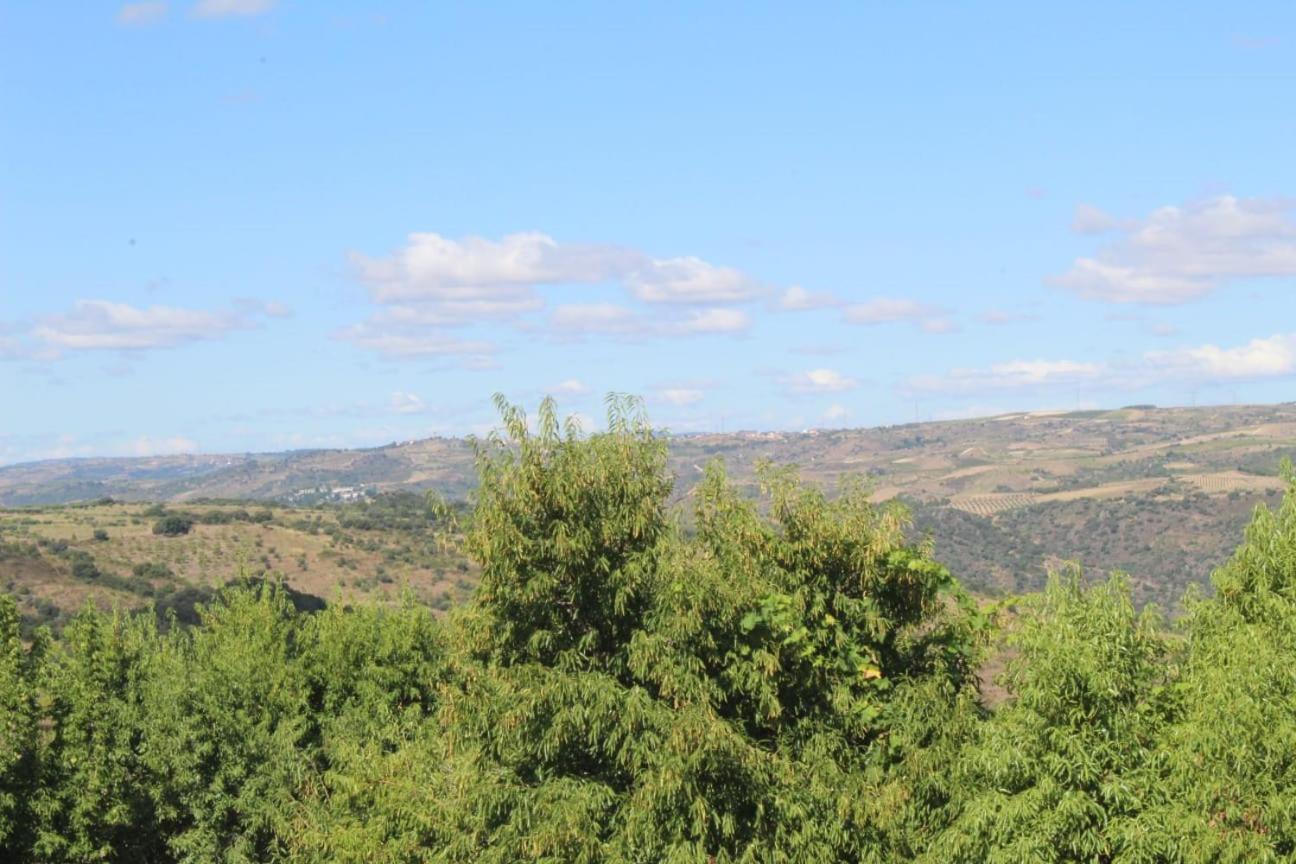 El Nidito de Fermoselle view 5