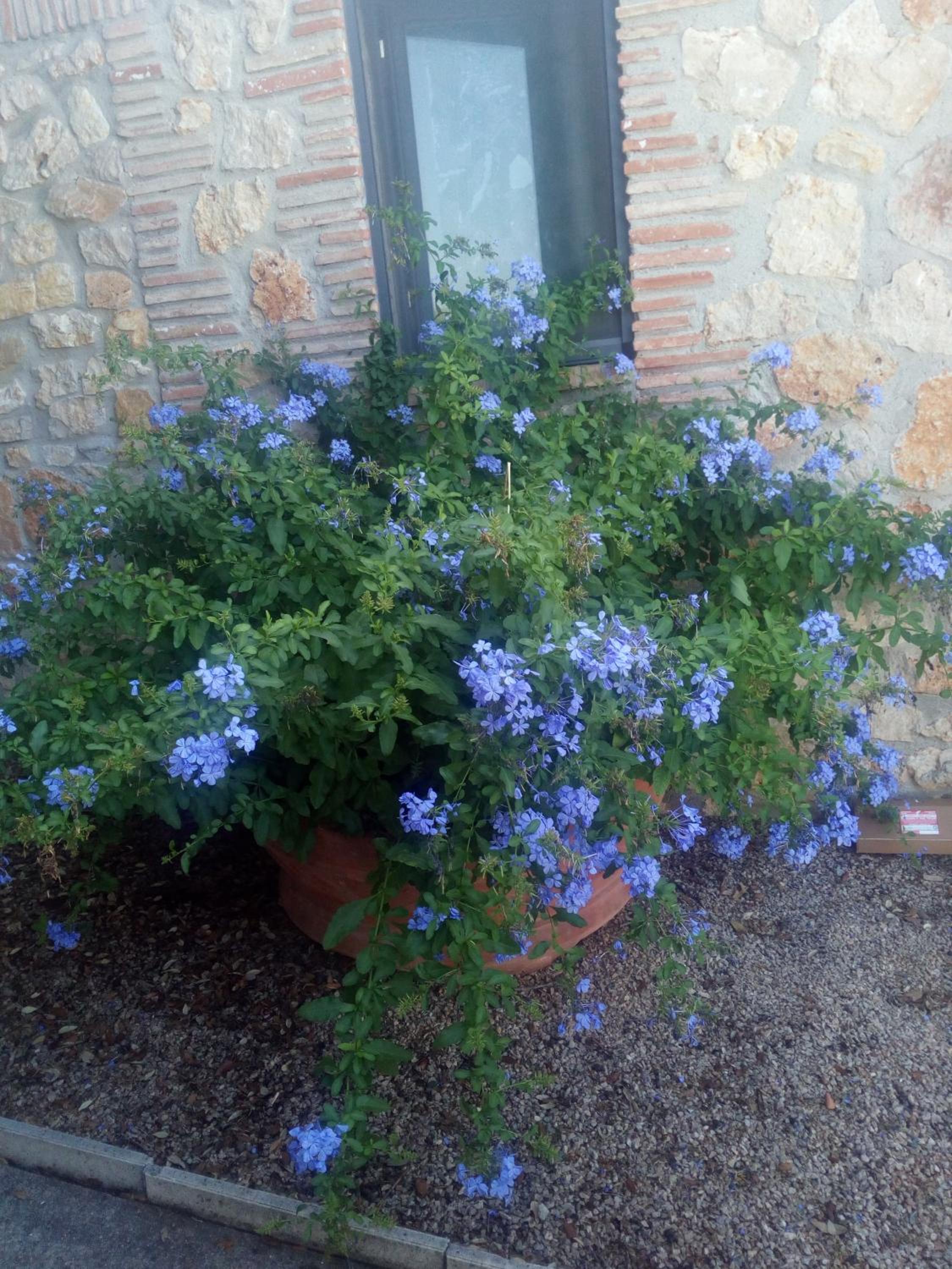 Photo 51