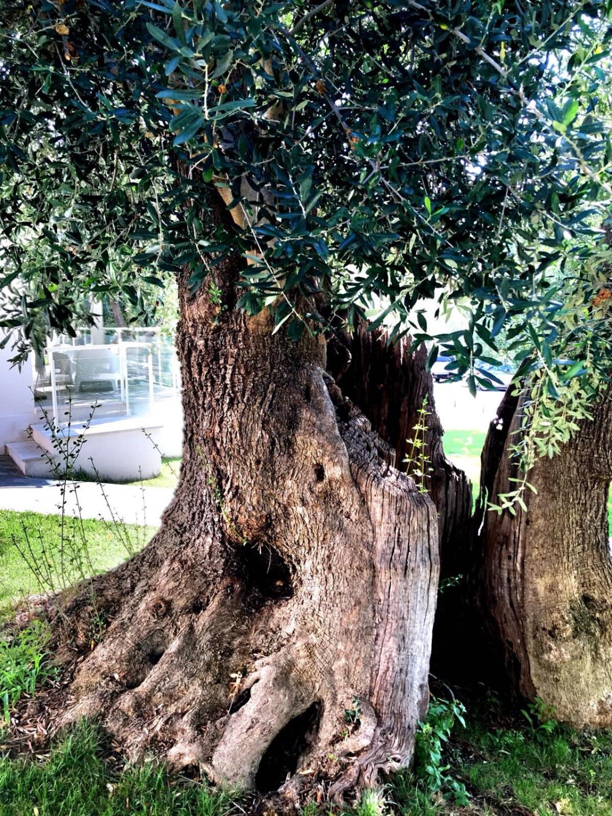 Agriturismo Giorgio