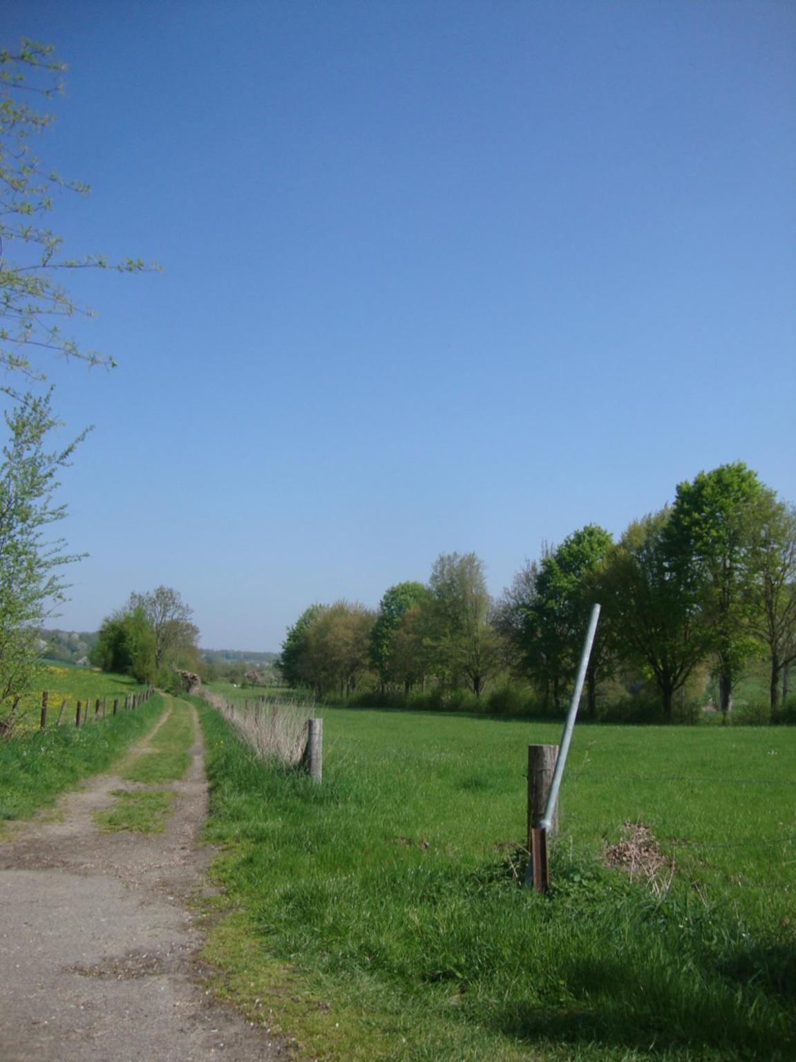 Photo 32