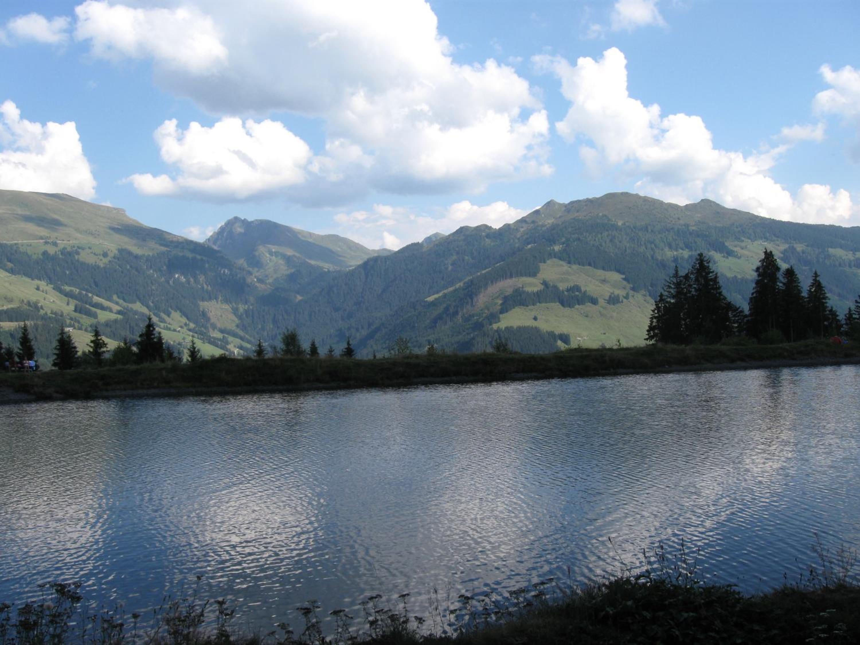 Photo 16