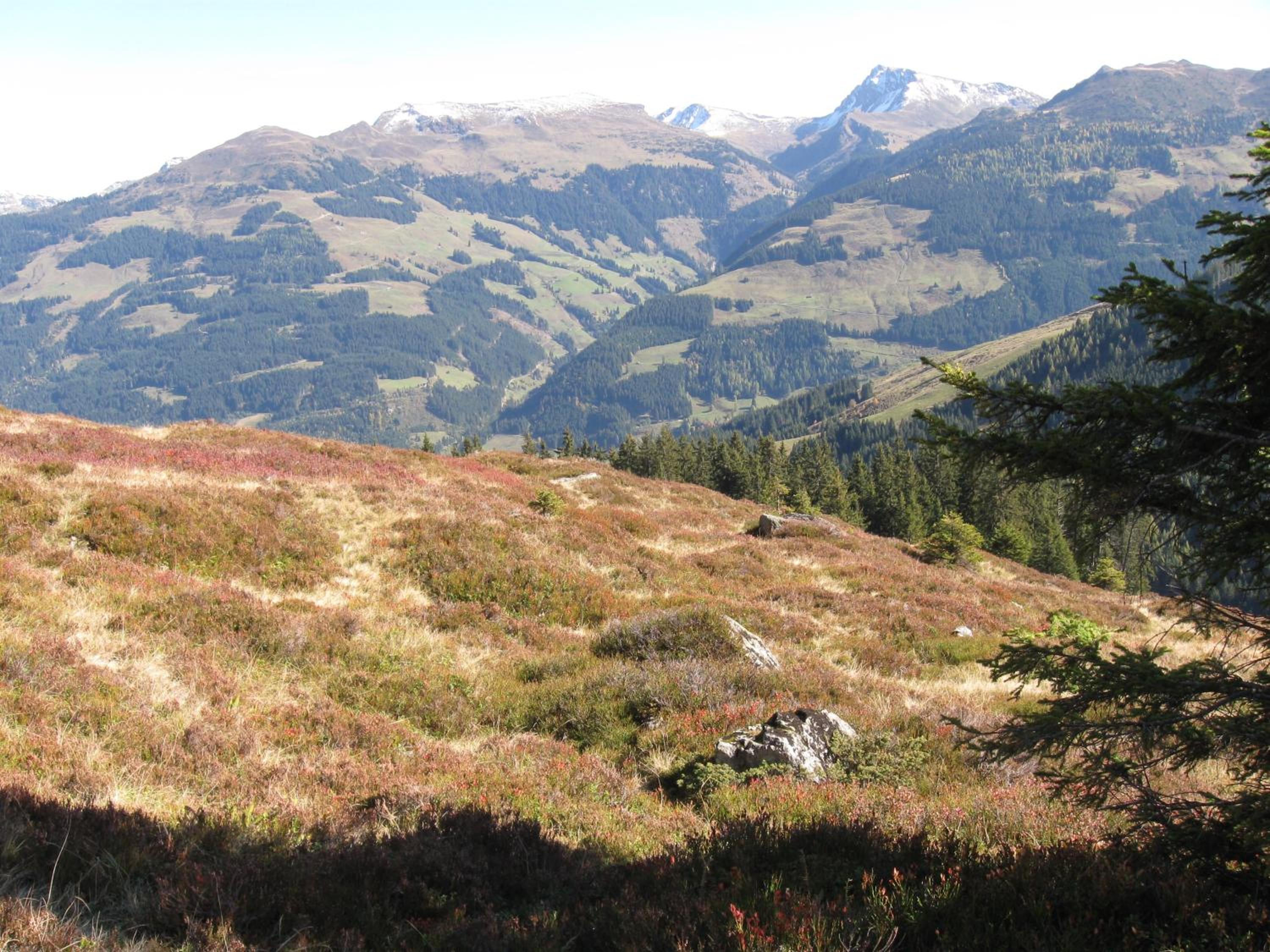 Photo 10