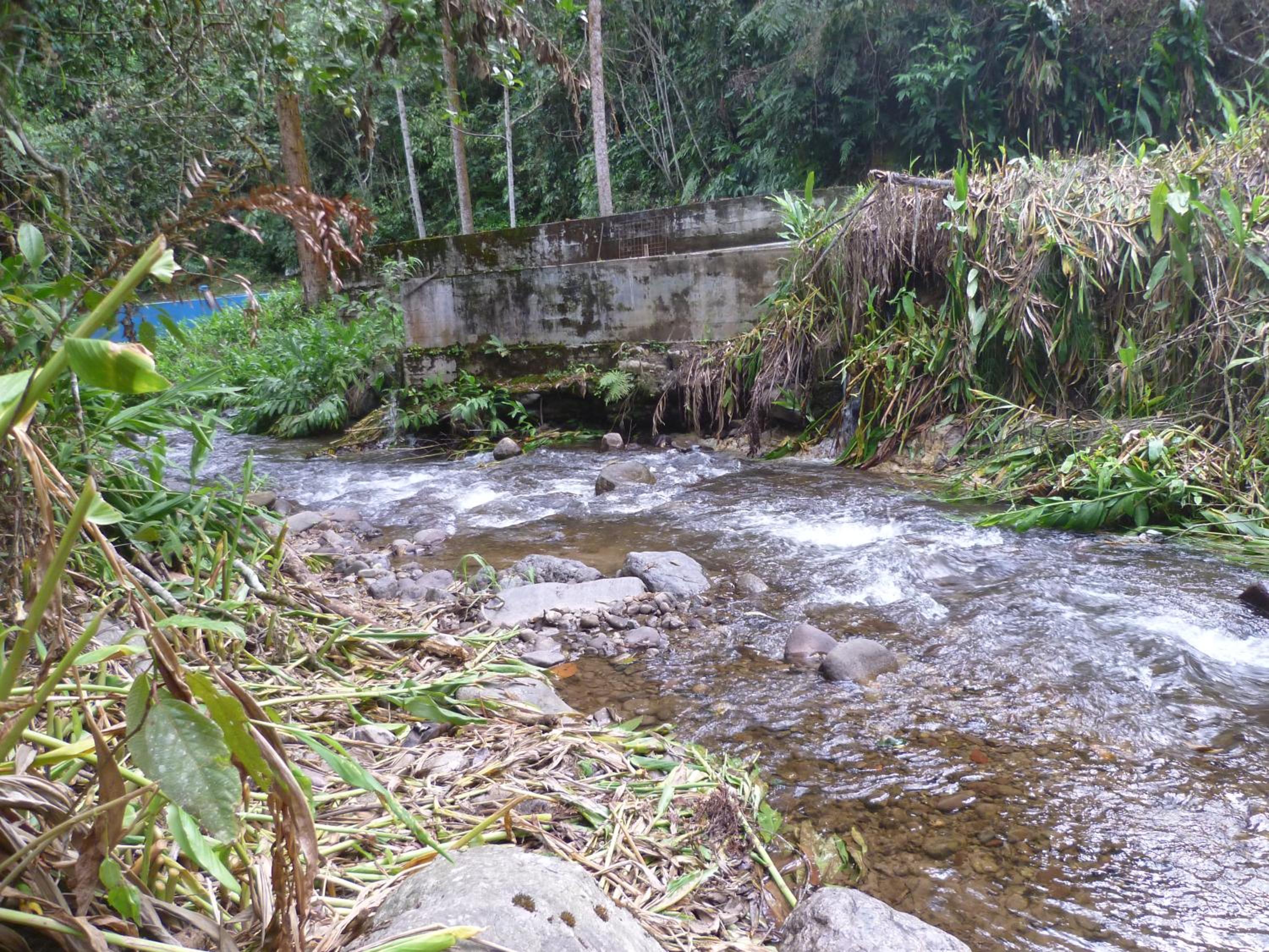 HOSPEDAJE CAMPOS ELÌSEOS view 4