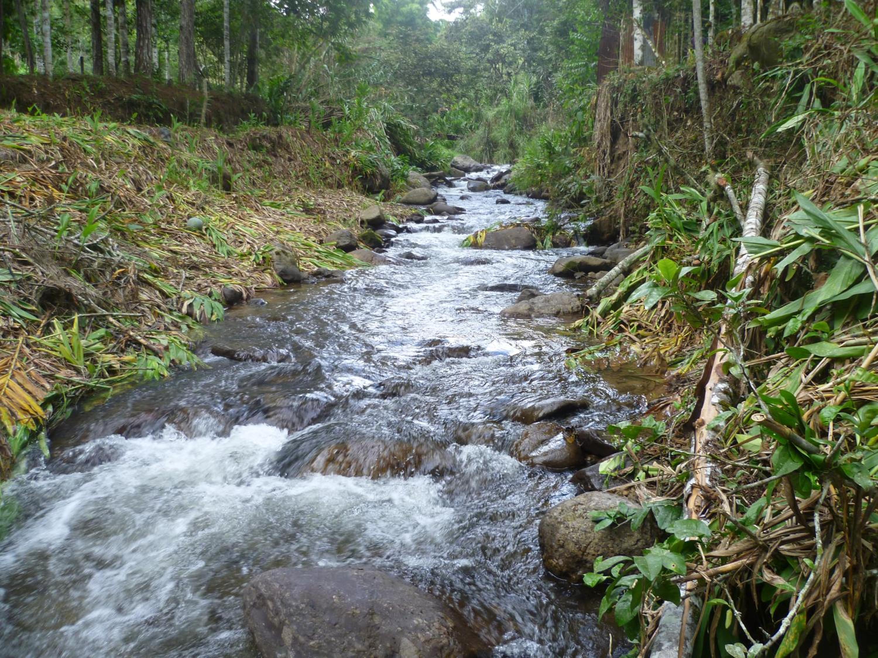 HOSPEDAJE CAMPOS ELÌSEOS view 2