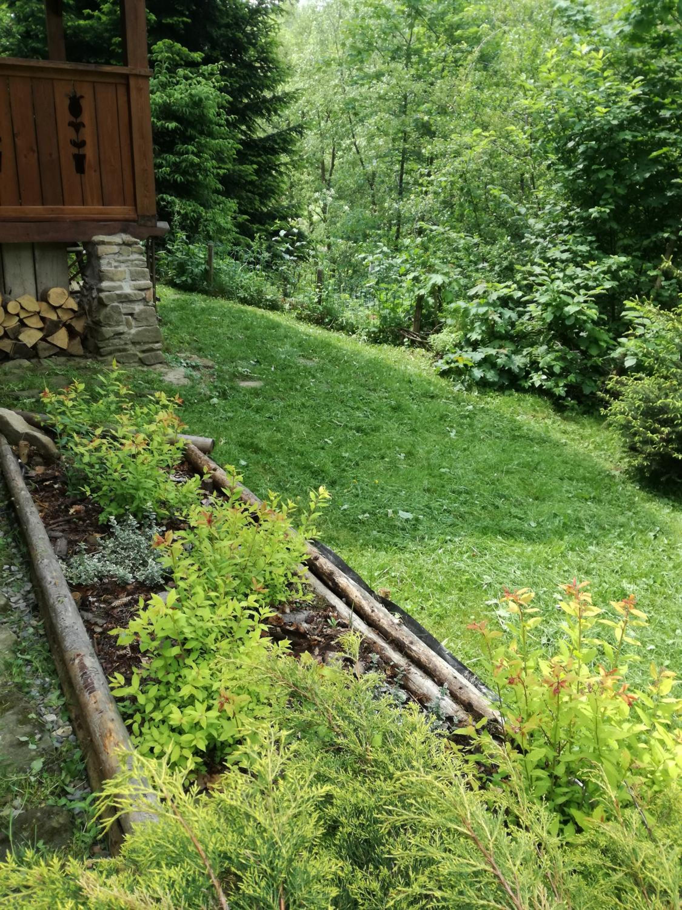 Photo 7