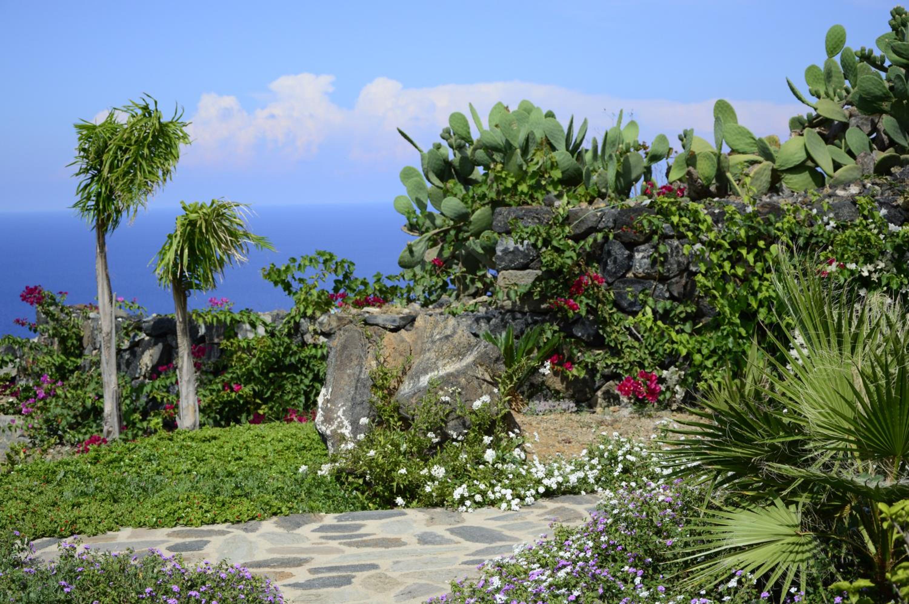kammamia view 5