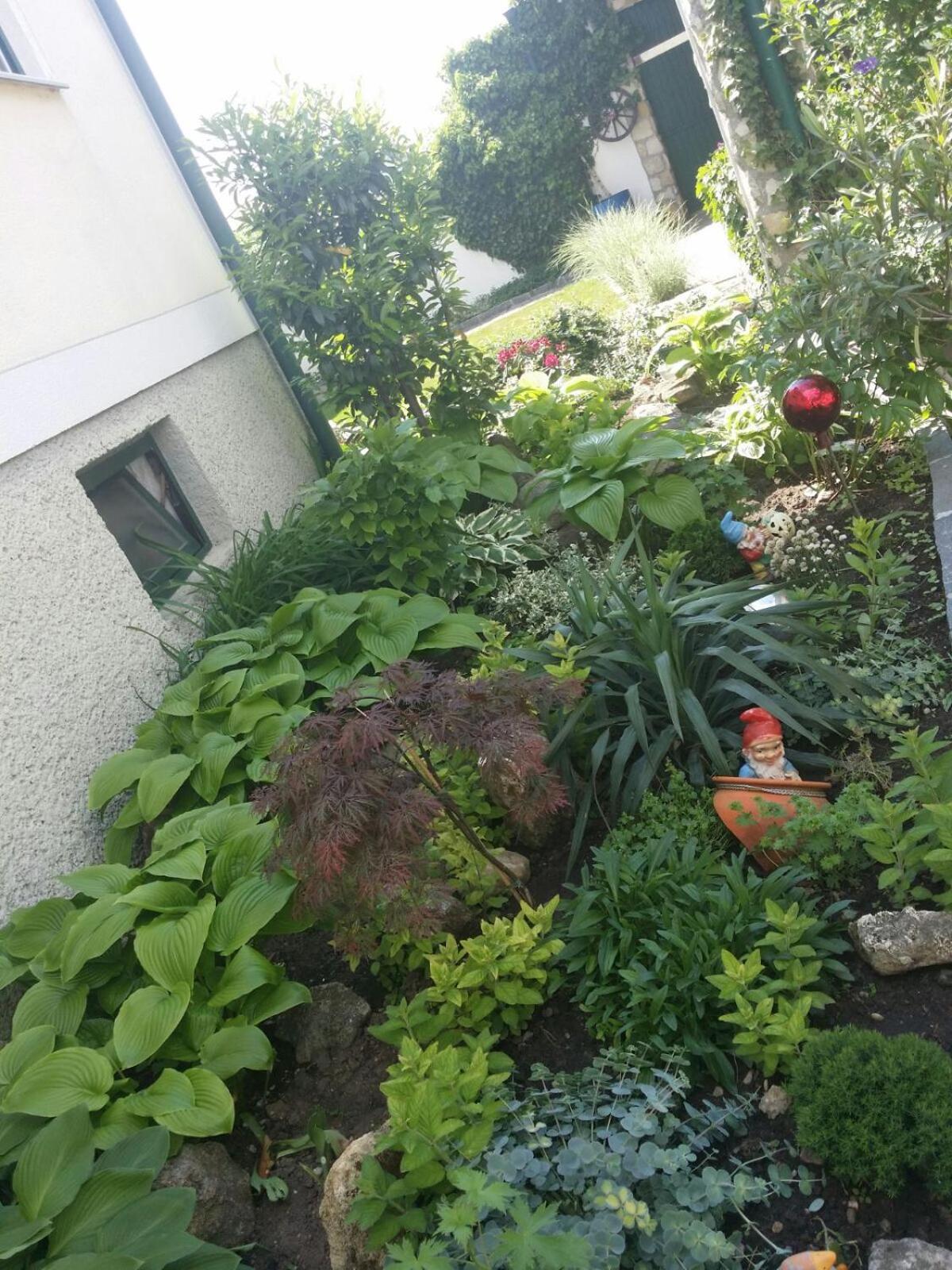 Photo 29