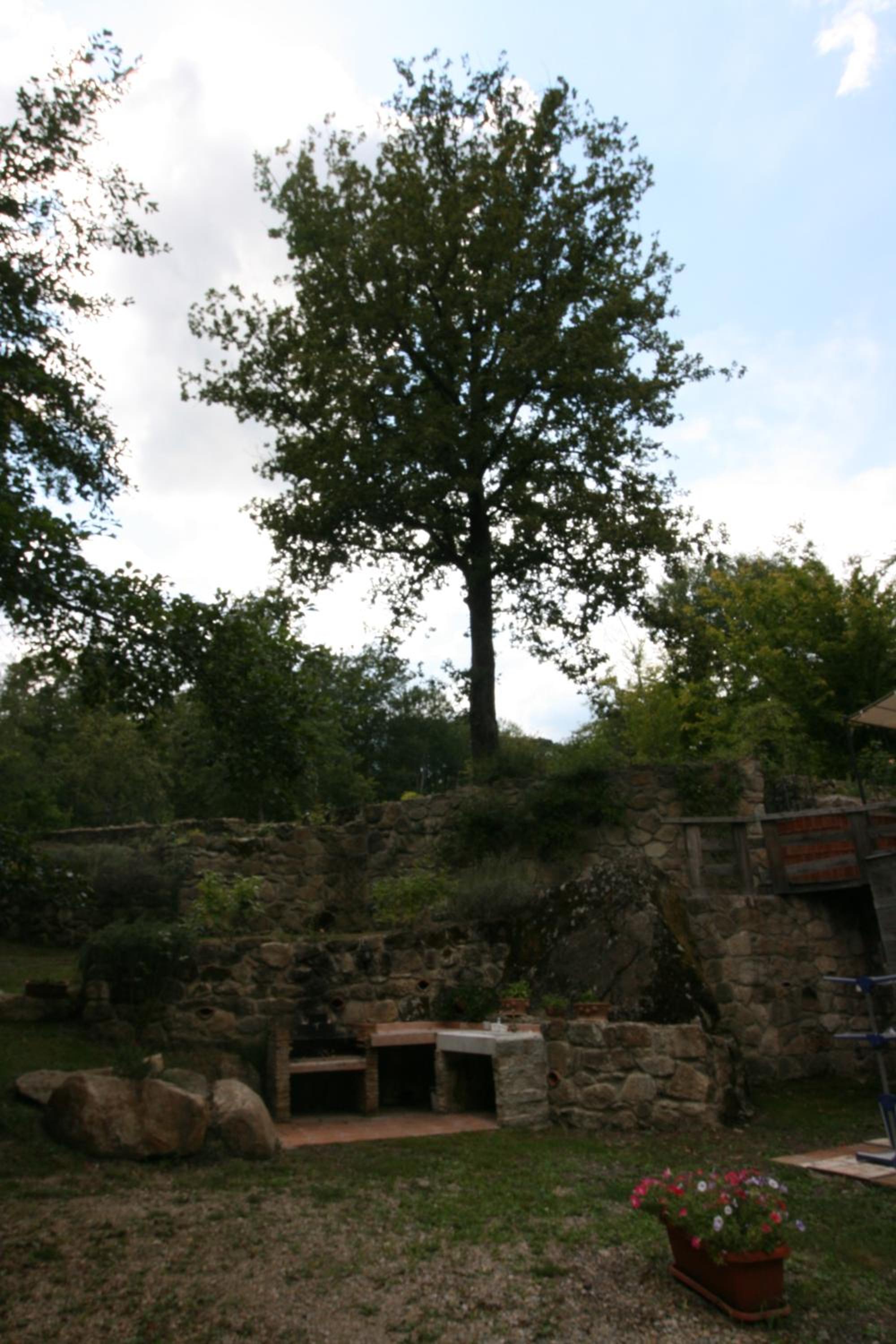 Photo 24