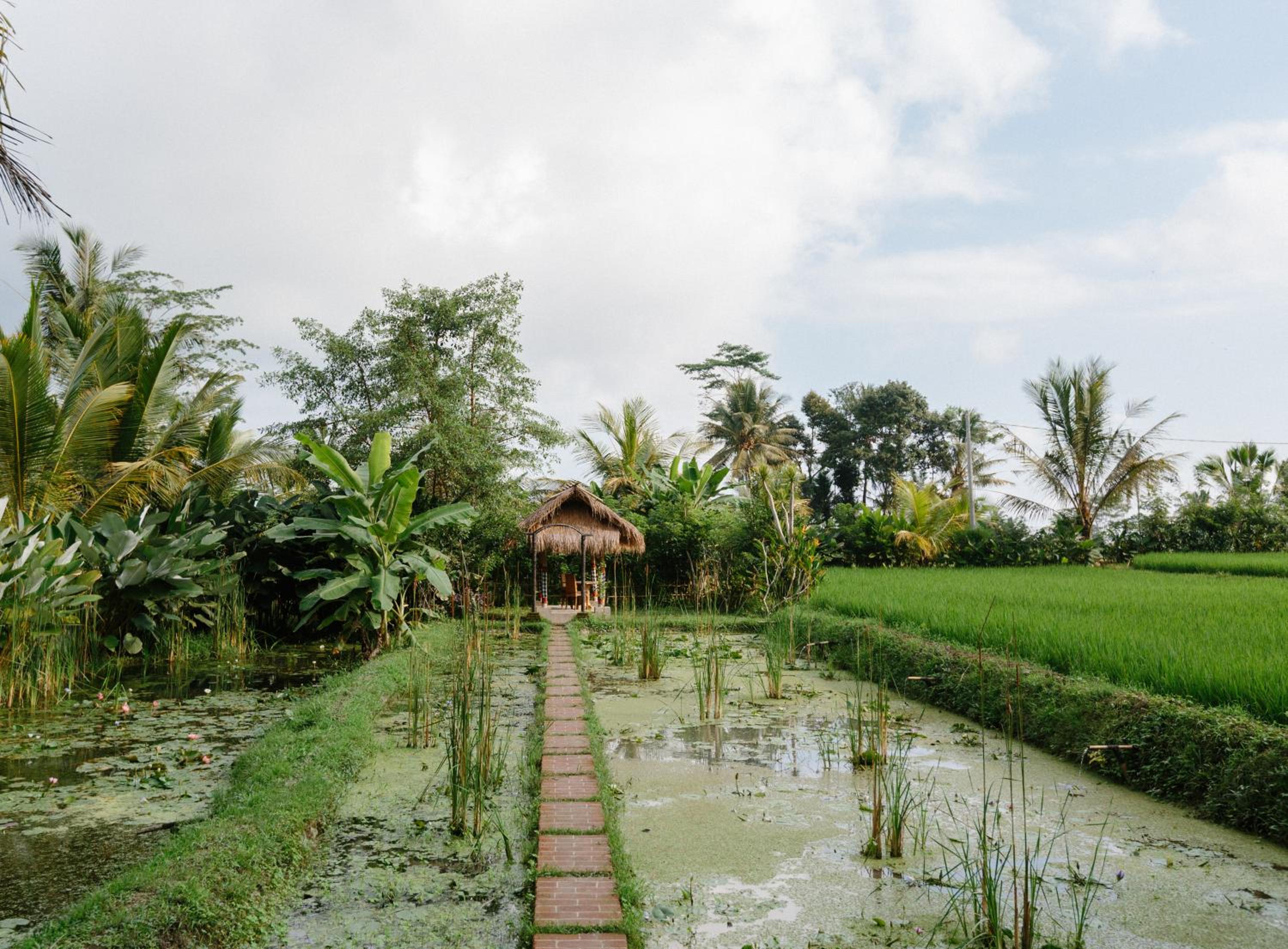De Klumpu Bali Eco Tradi Stay