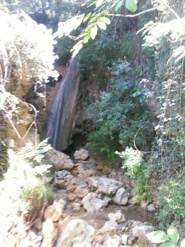 Photo 28