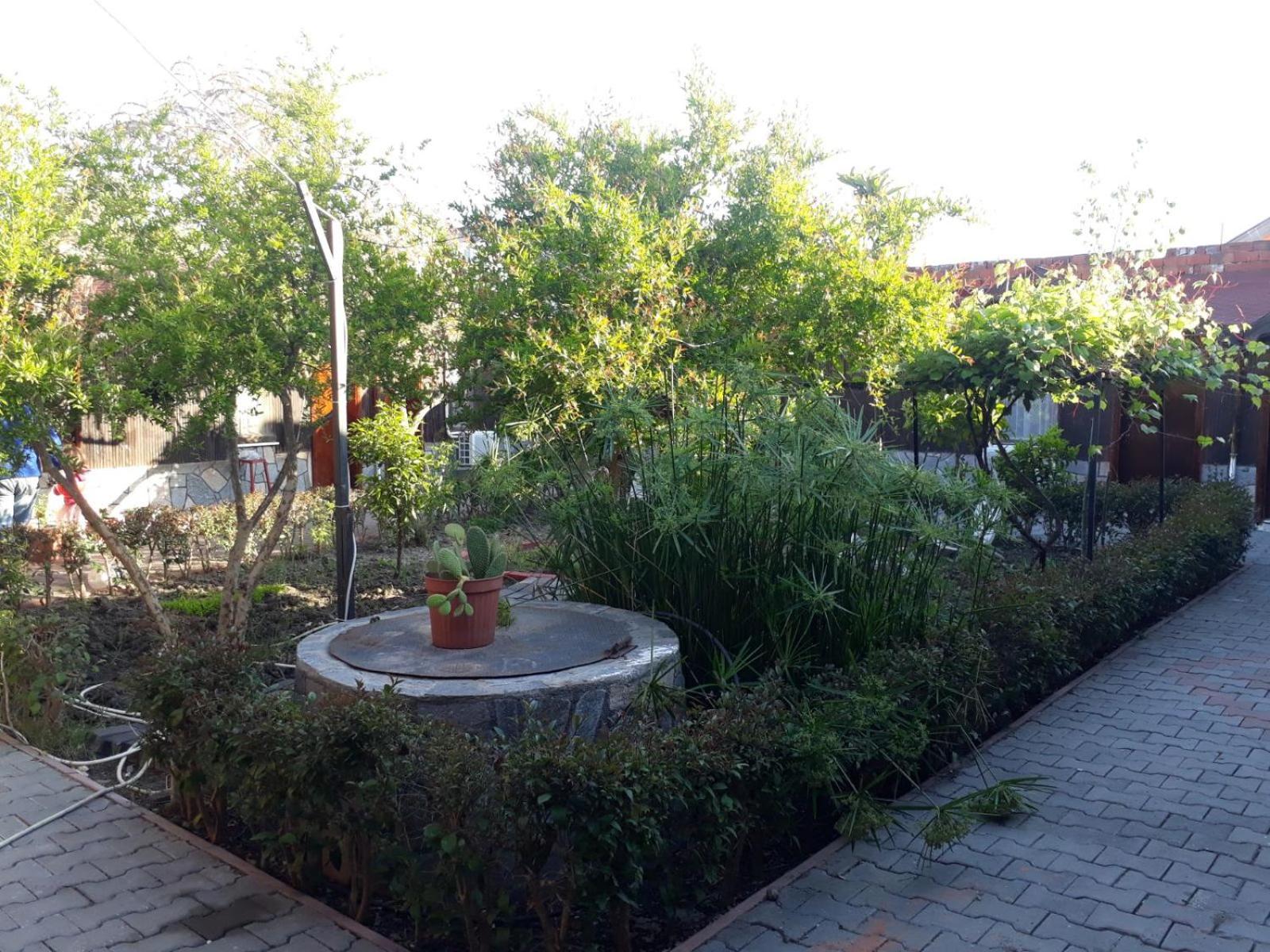 Photo 34