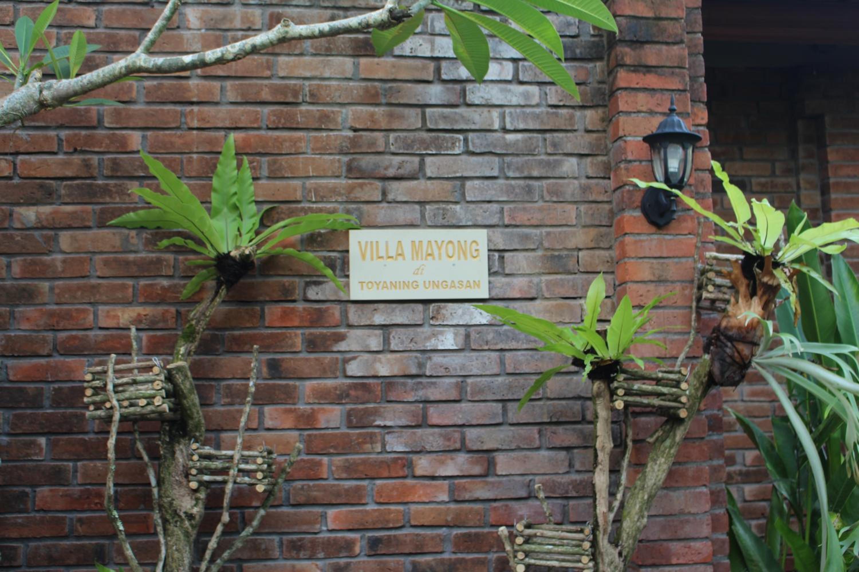 Photo 44