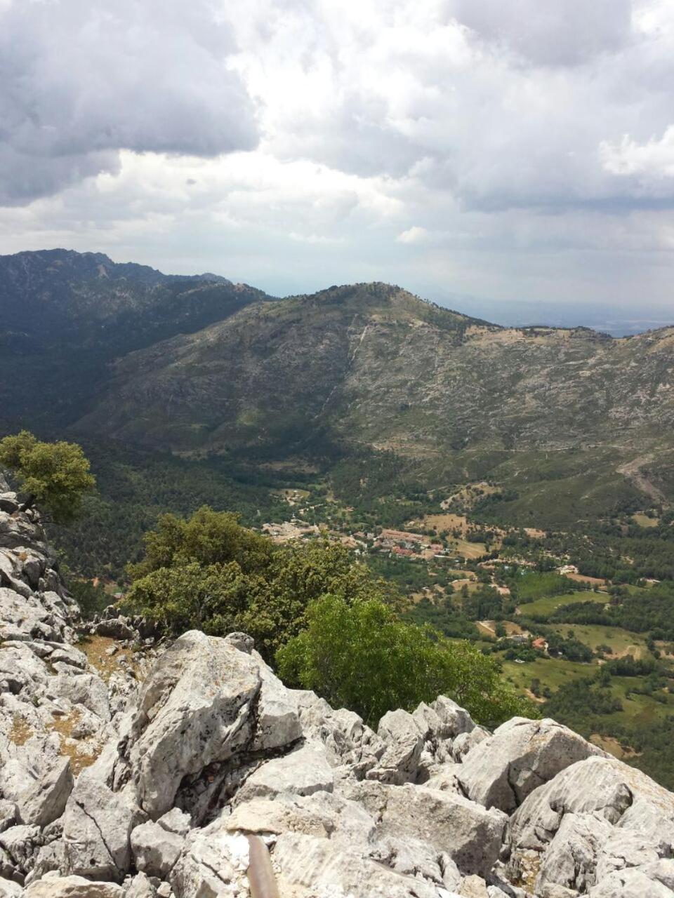 Photo 23