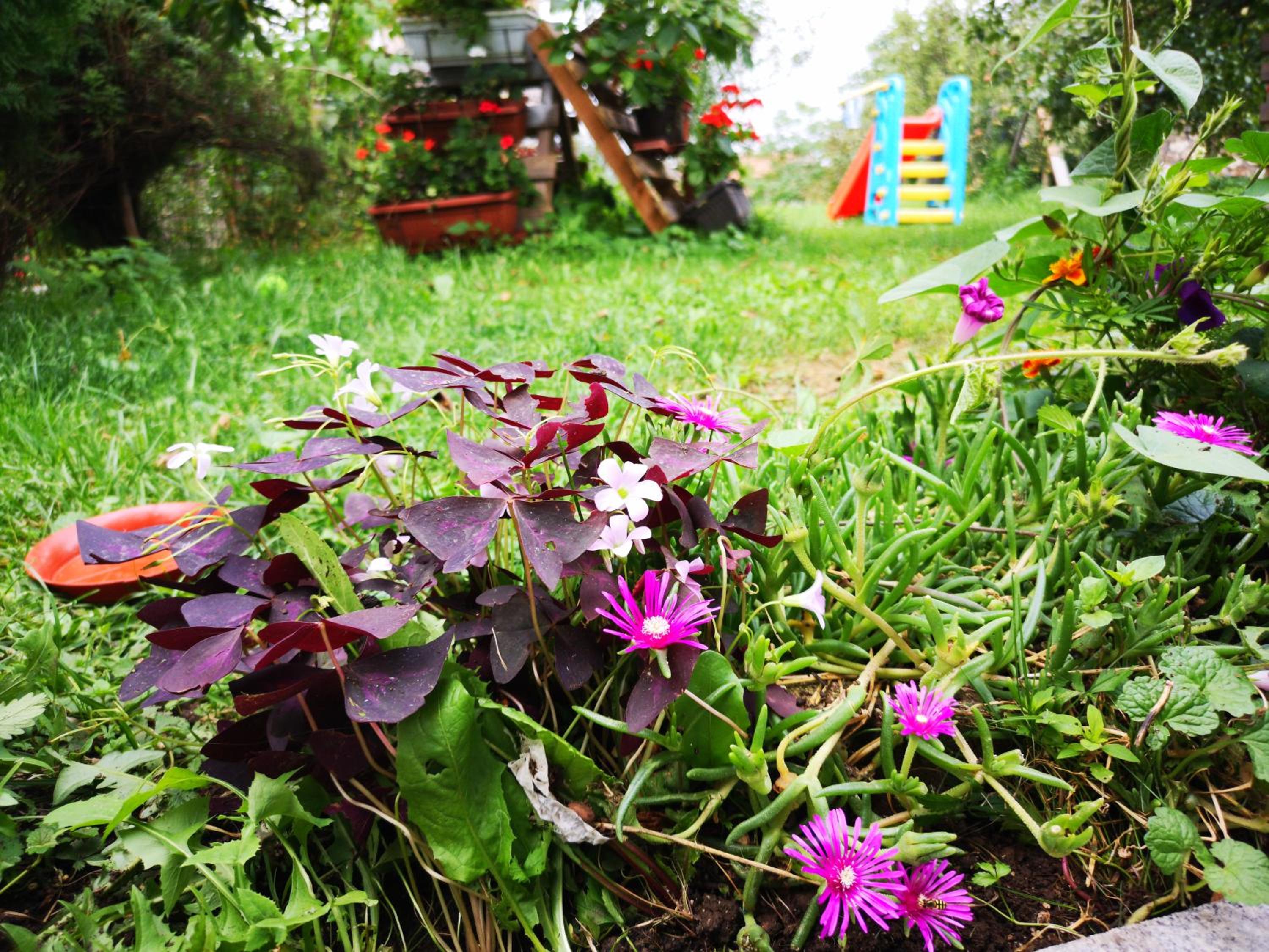 Family apartment with garden