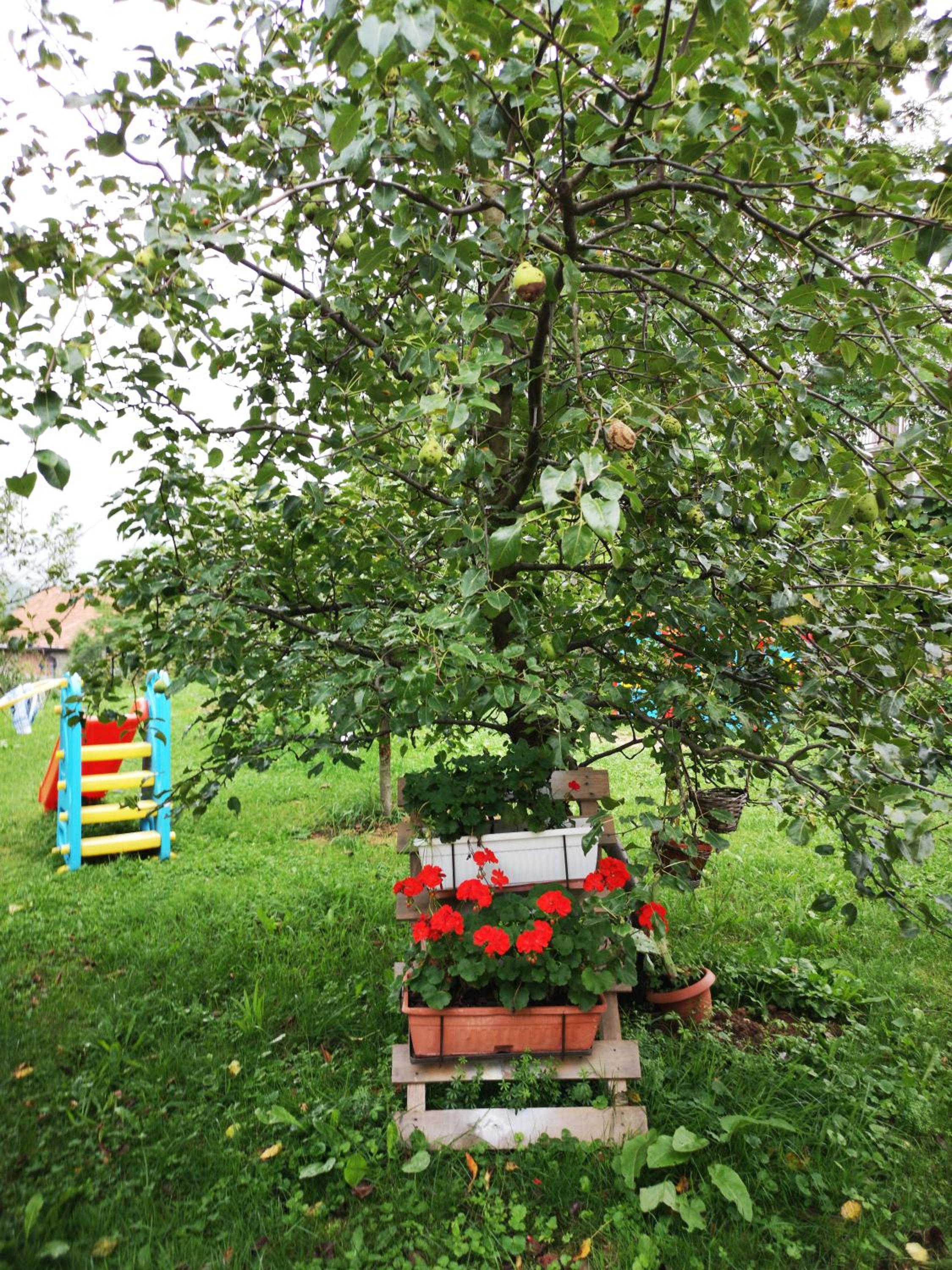 Family apartment with garden