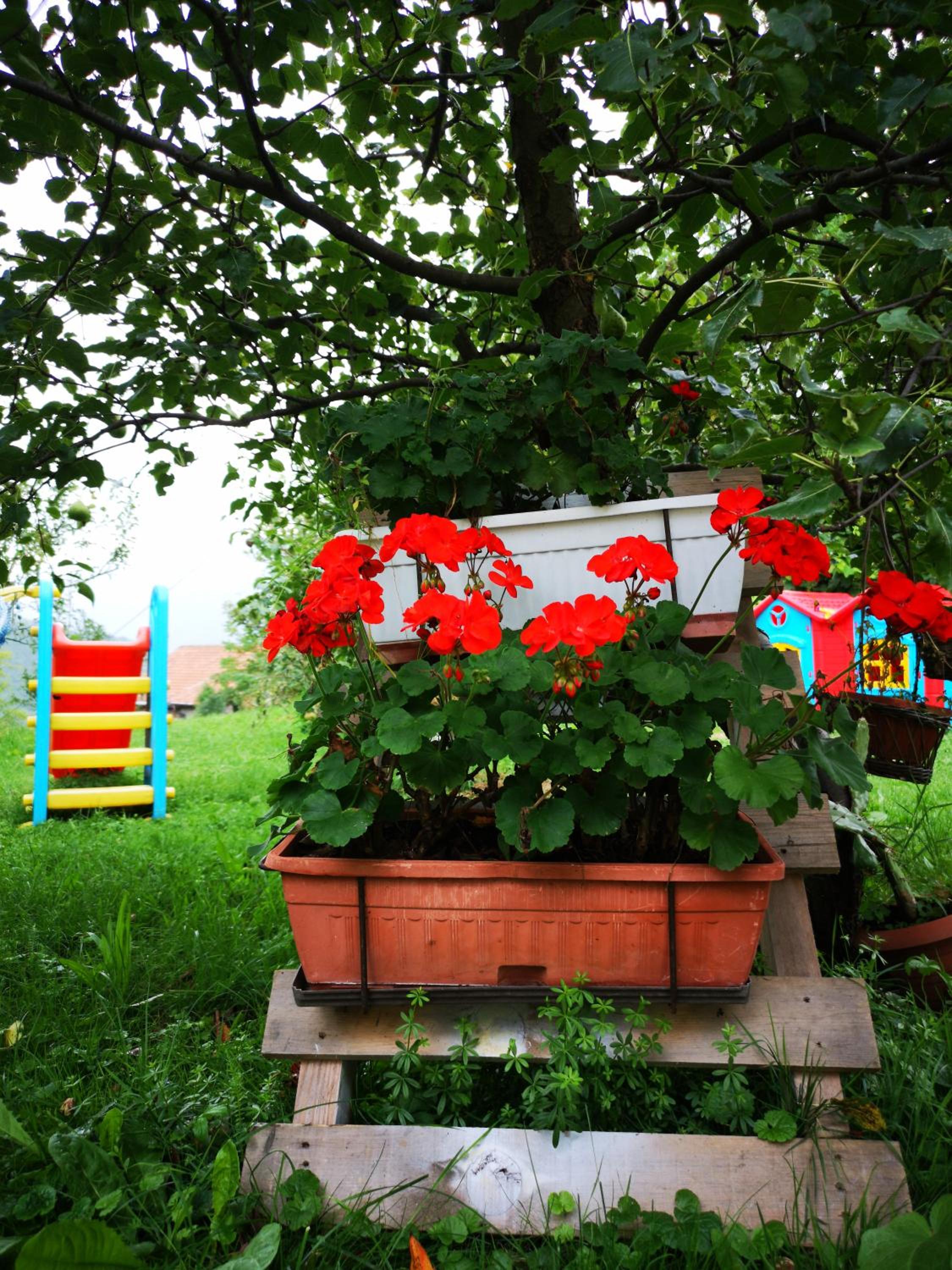 Family apartment with garden