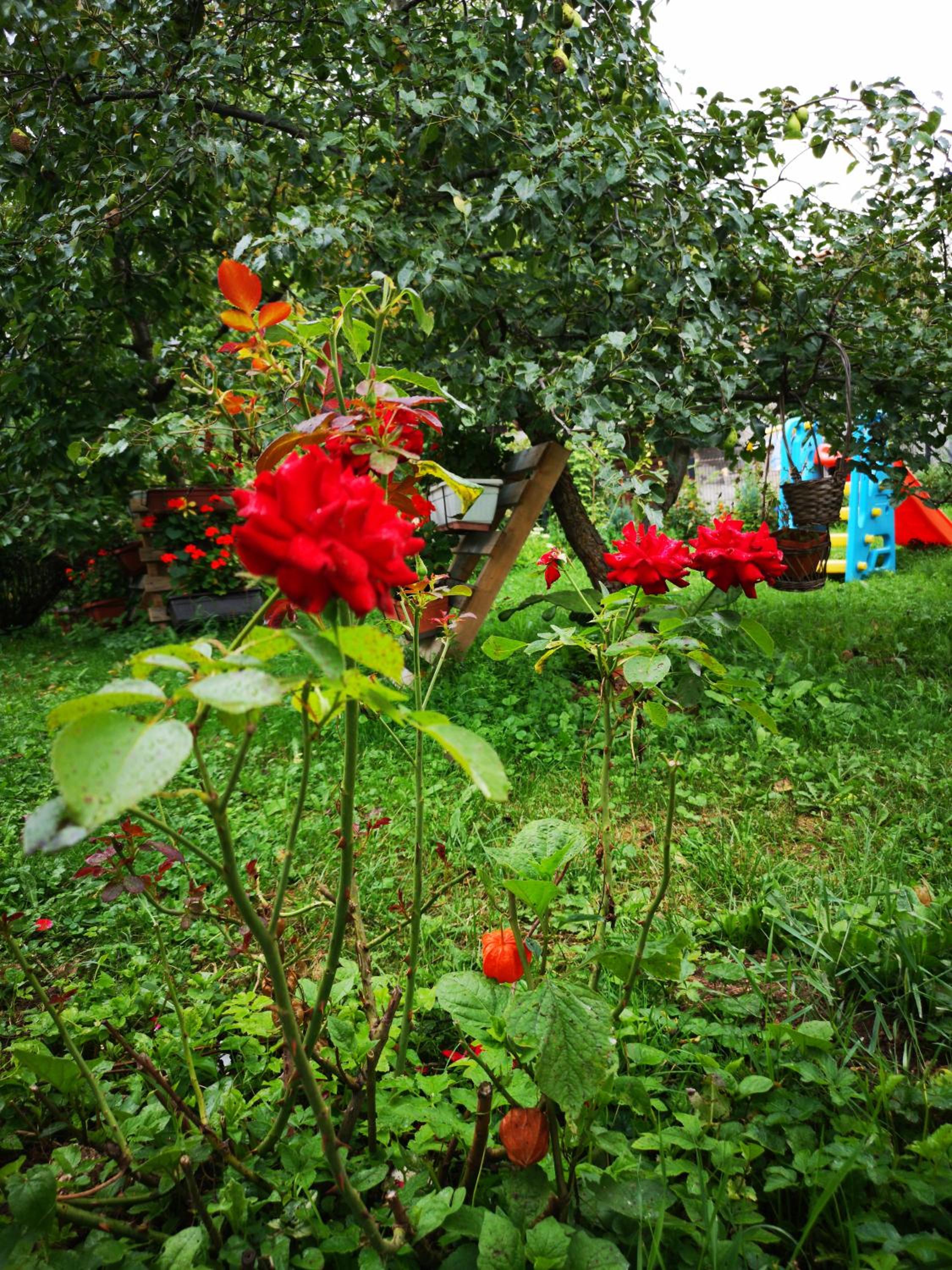 Family apartment with garden