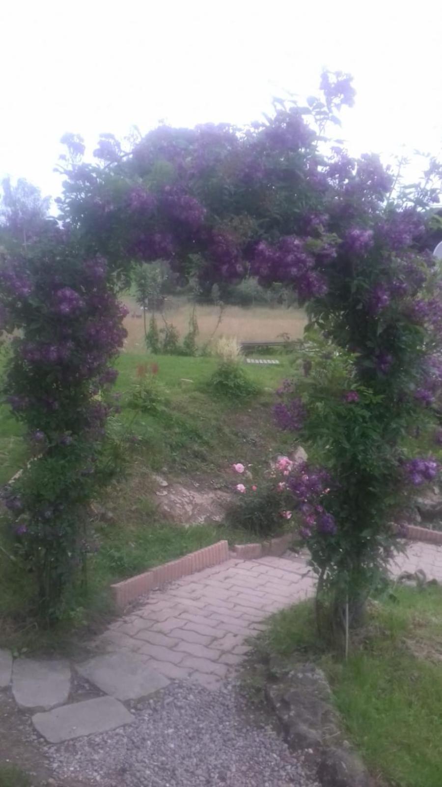 Photo 44