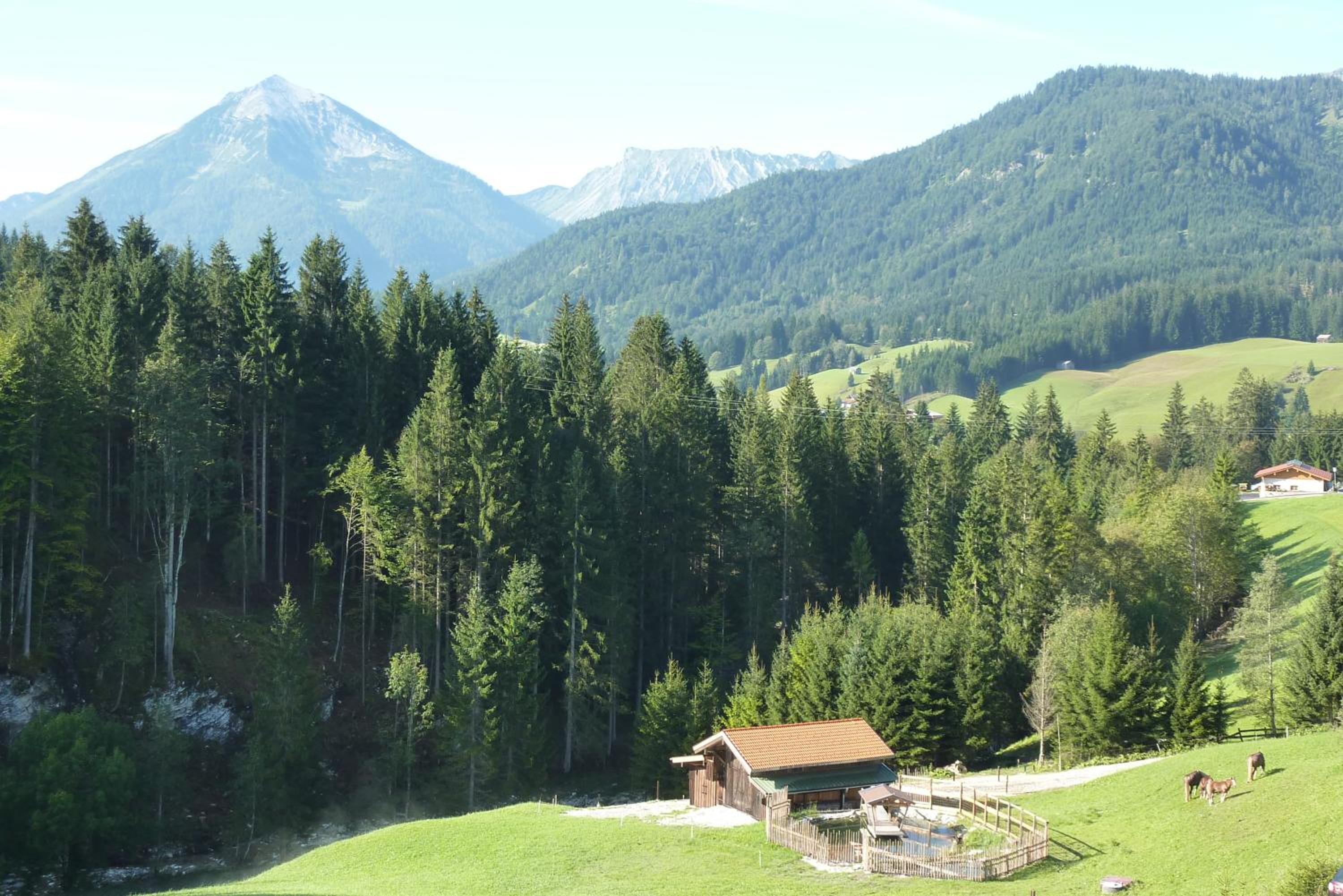 Tratlhof