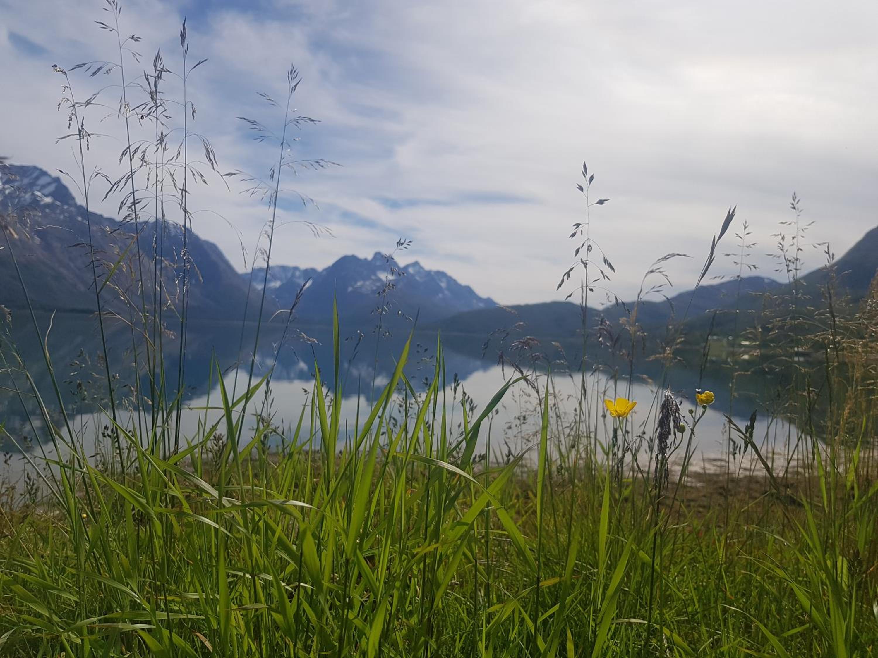 Sjursnes Fjordferie view 3