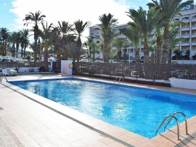 great appartament las americas photo 2