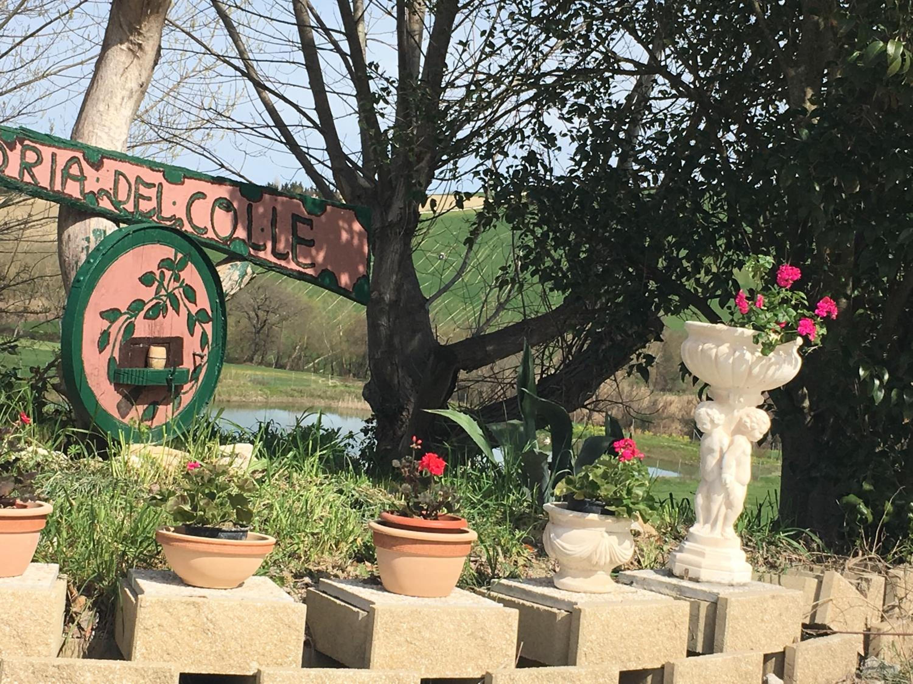 Agriturismo Fattoria del Colle