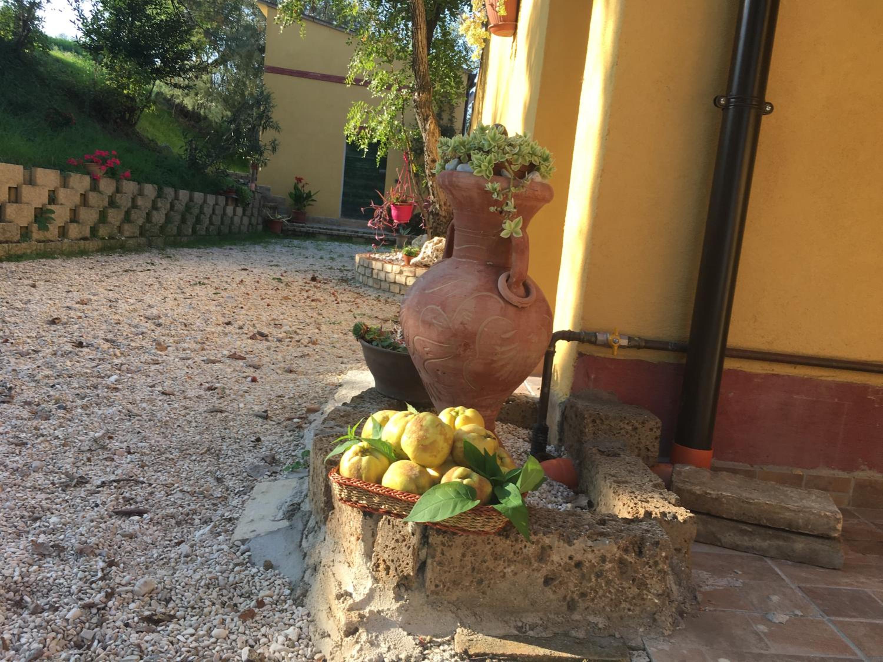 Agriturismo Fattoria del Colle