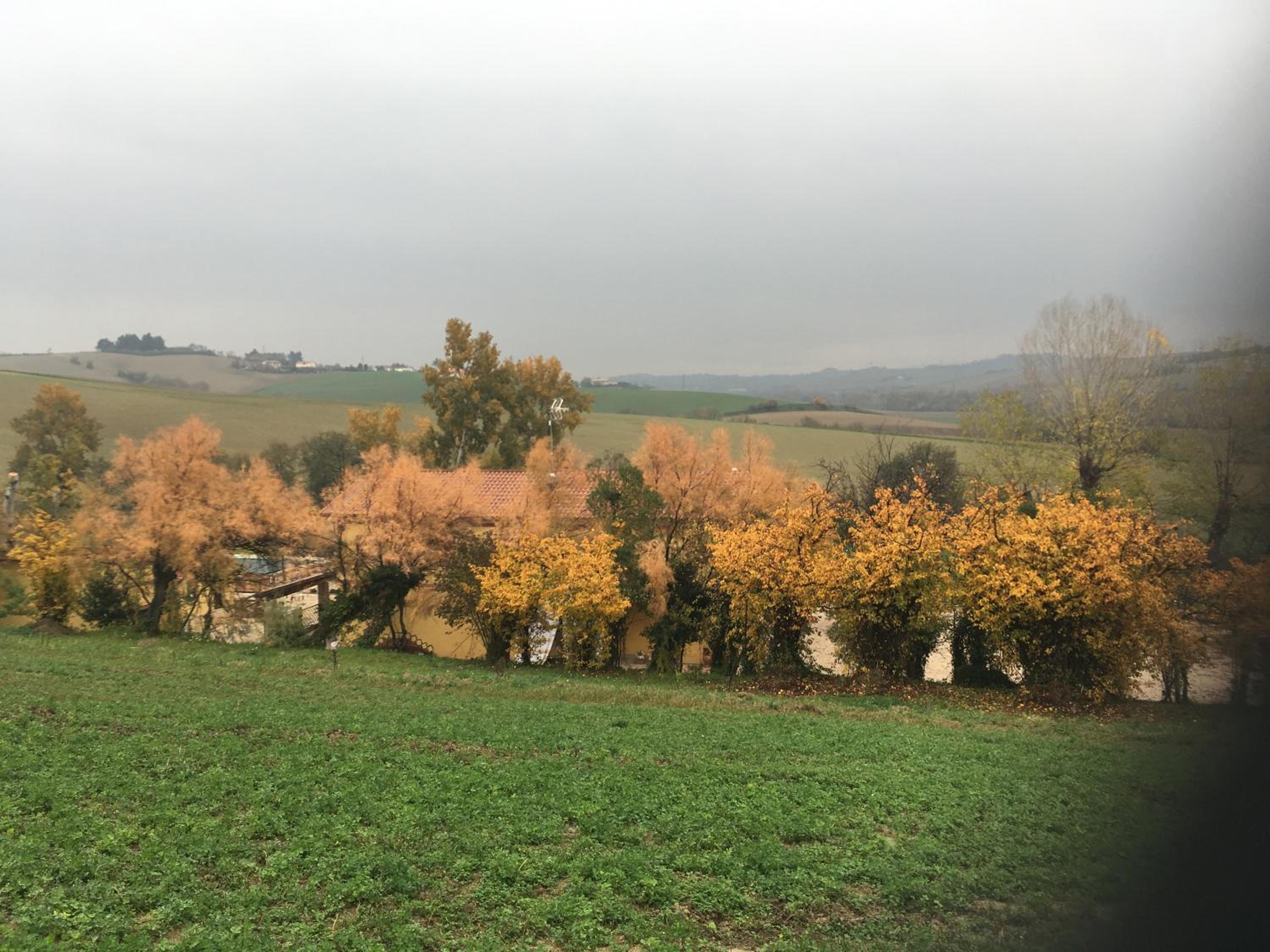 Agriturismo Fattoria del Colle