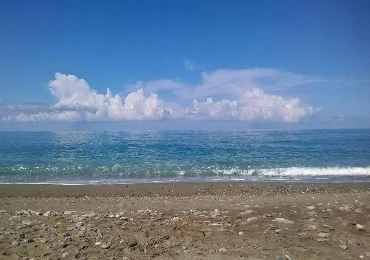 Photo 33