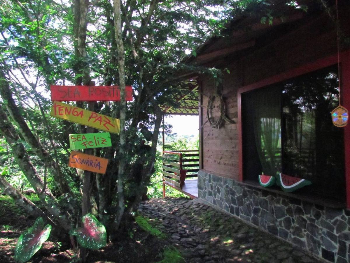 The House of Hummingbird view 5