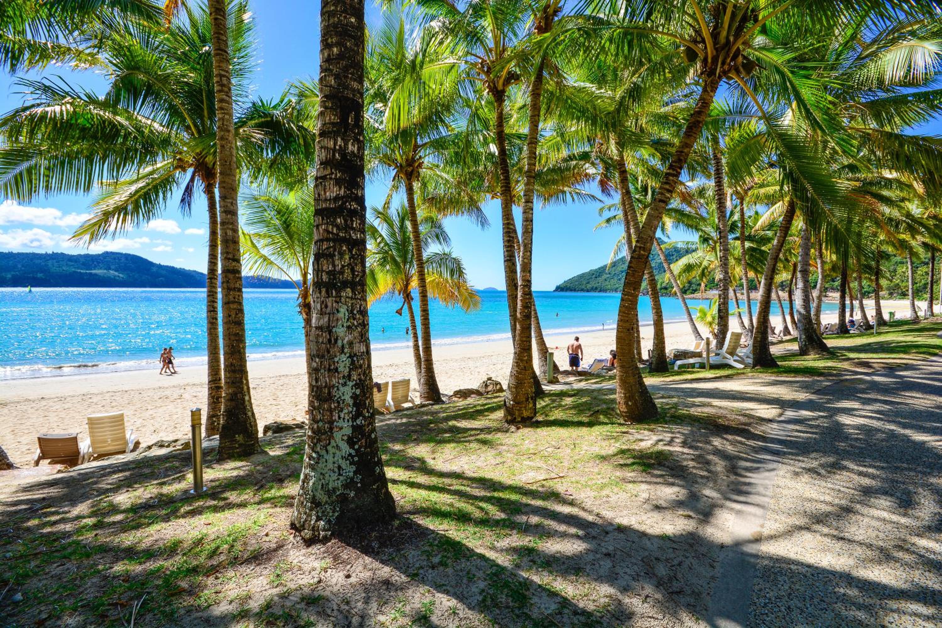 Casuarina Cove 1 on Hamilton Island by HamoRent