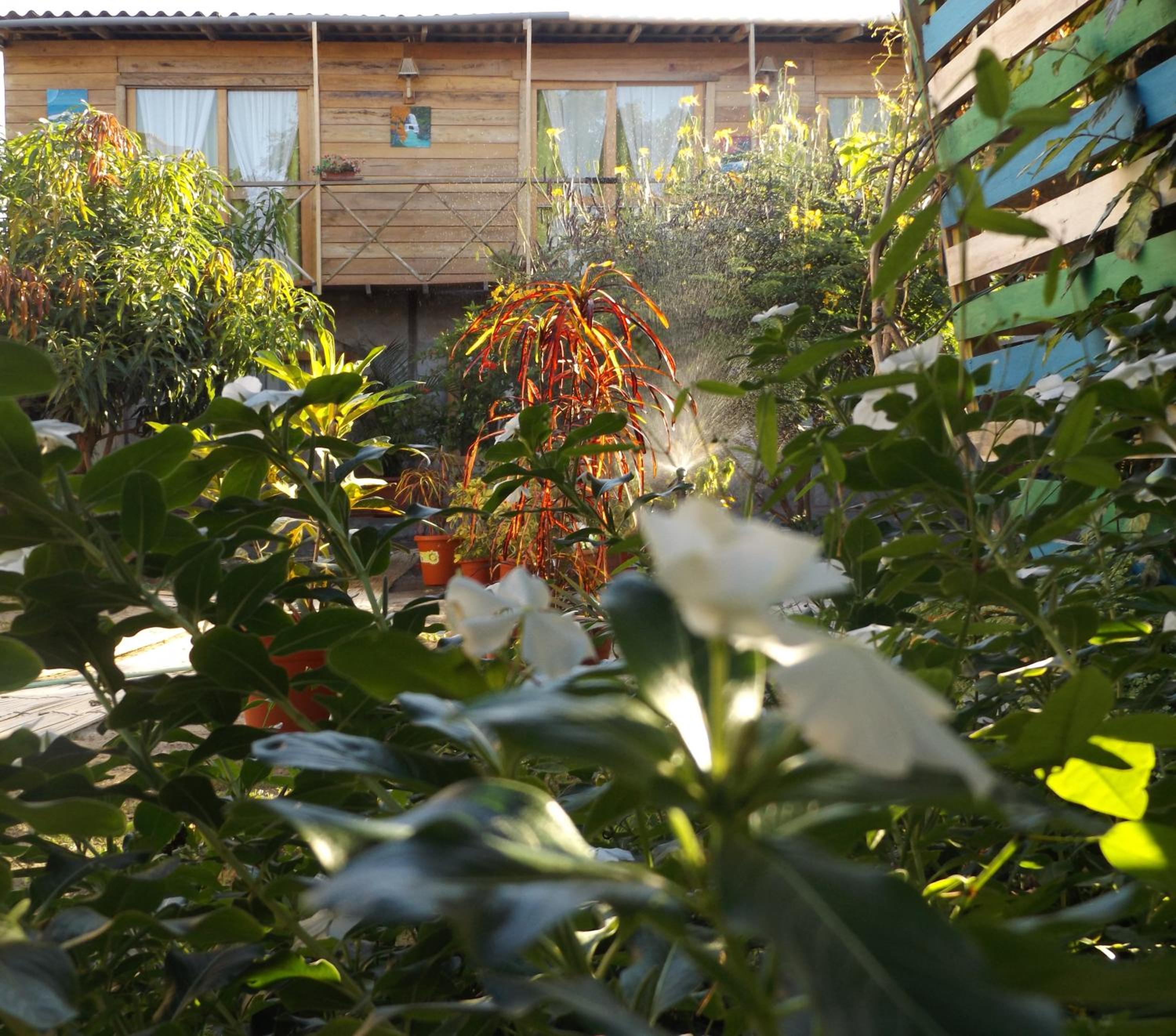 Buganvilla Guest House view 5