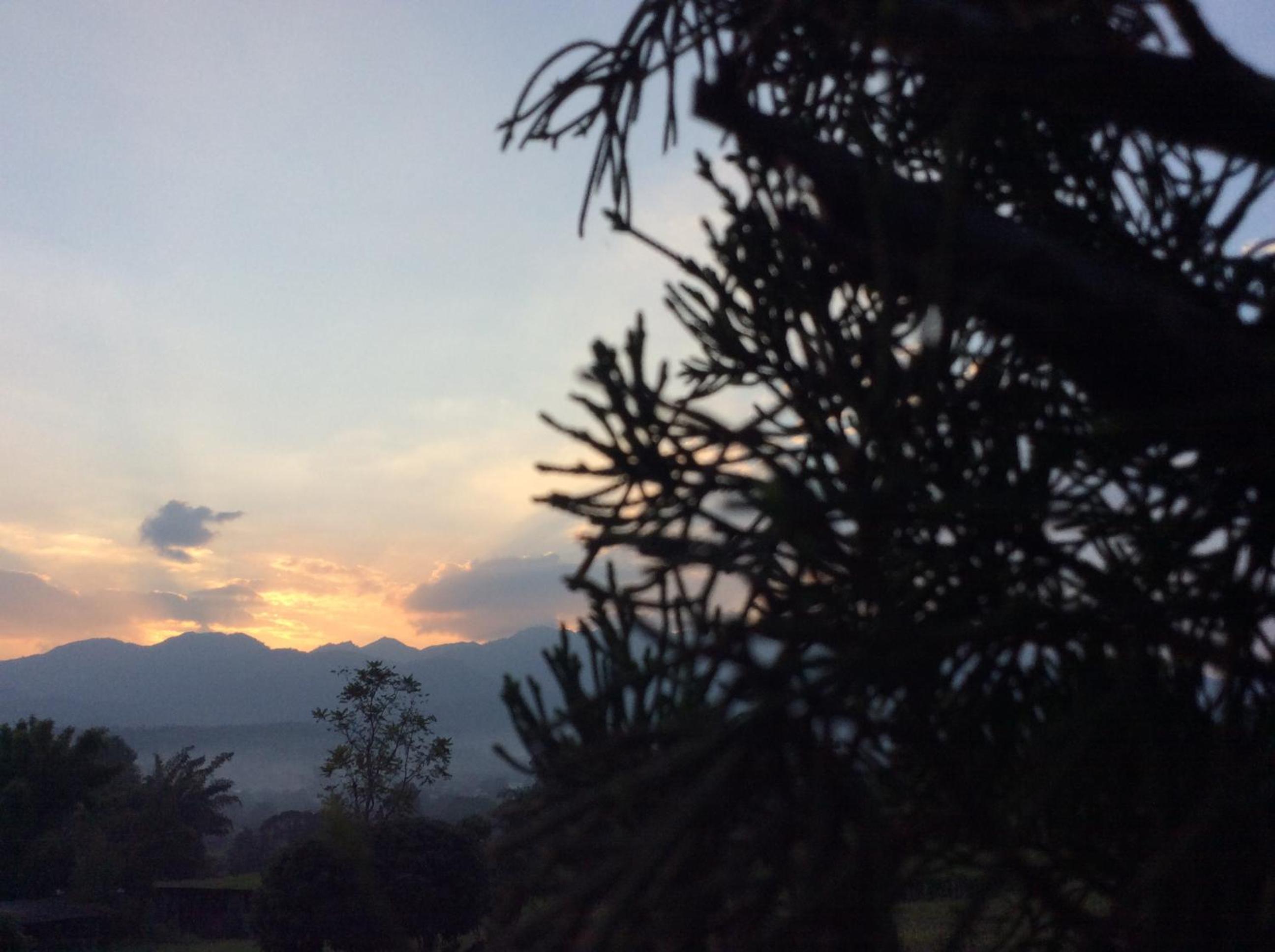 Chilling Hill Guesthouse