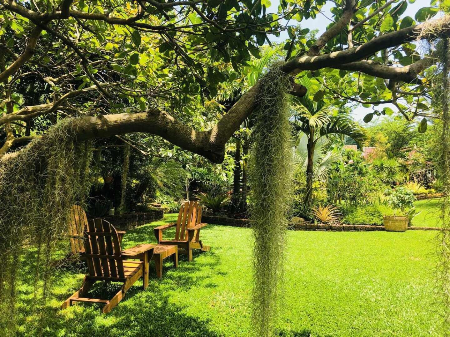Cominsia Lodge