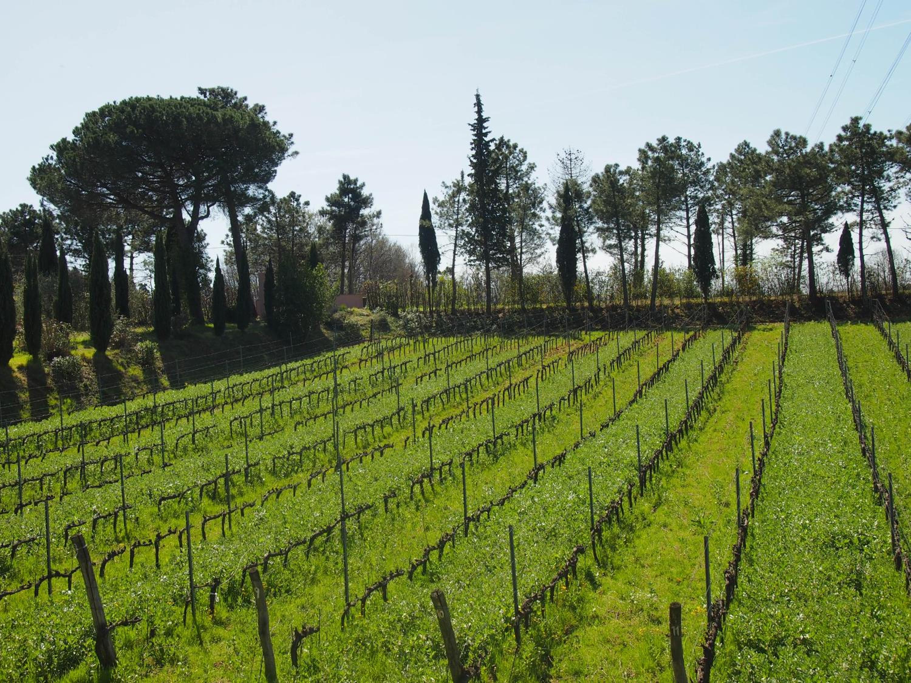 Agriturismo Gli Archi