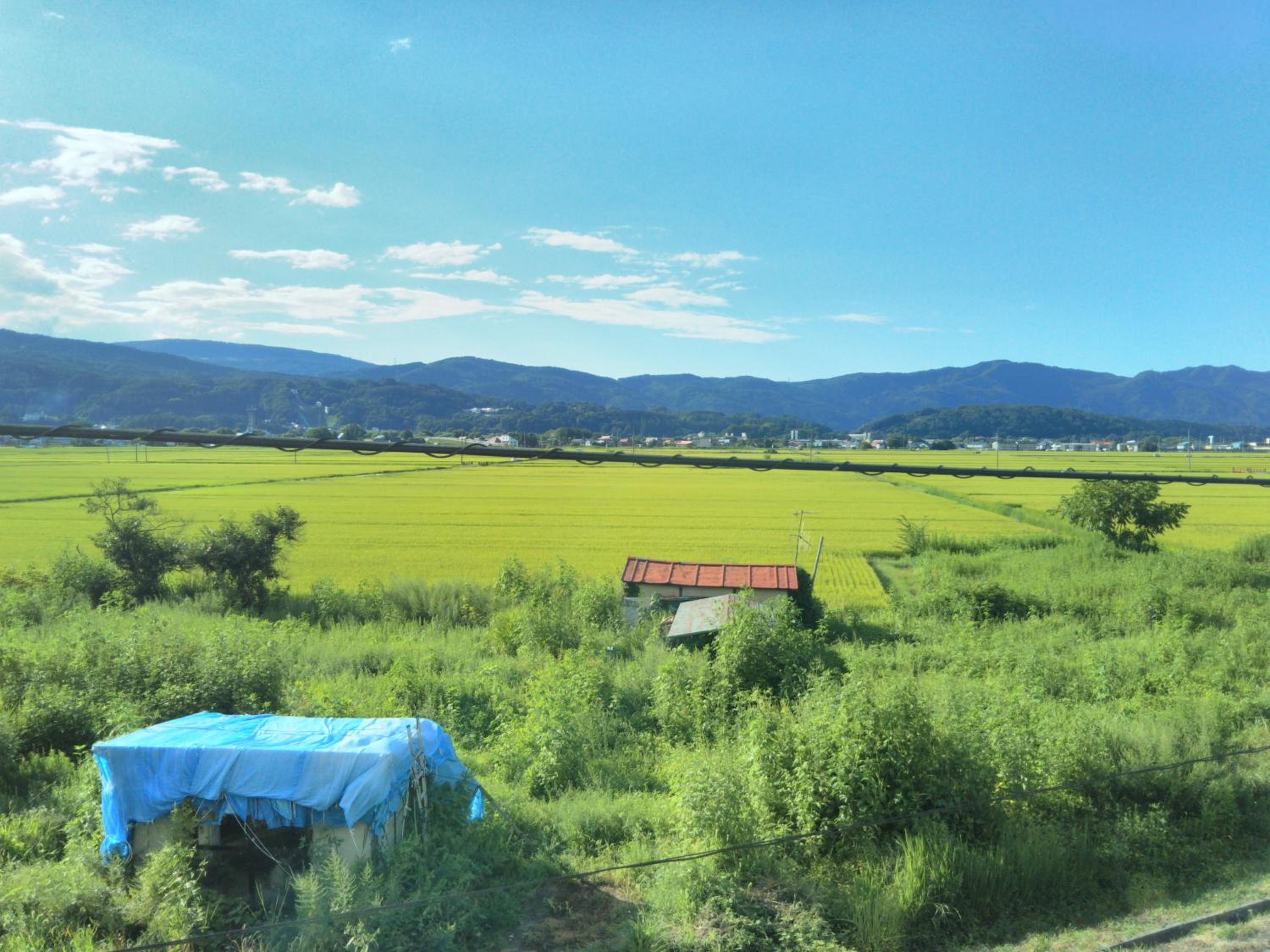 Guest House Hostel yukuru, photo 51