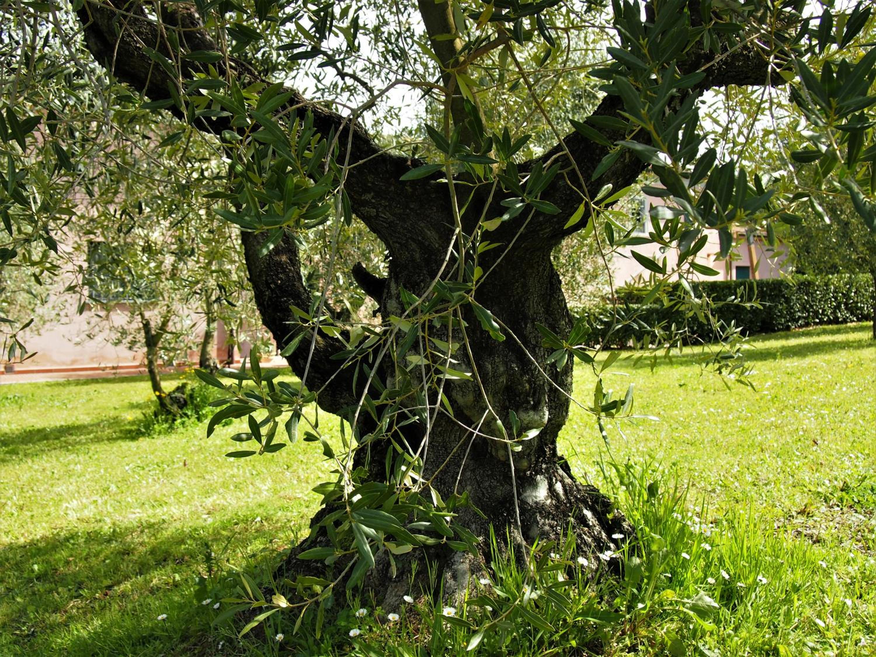 Agriturismo Gli Archi