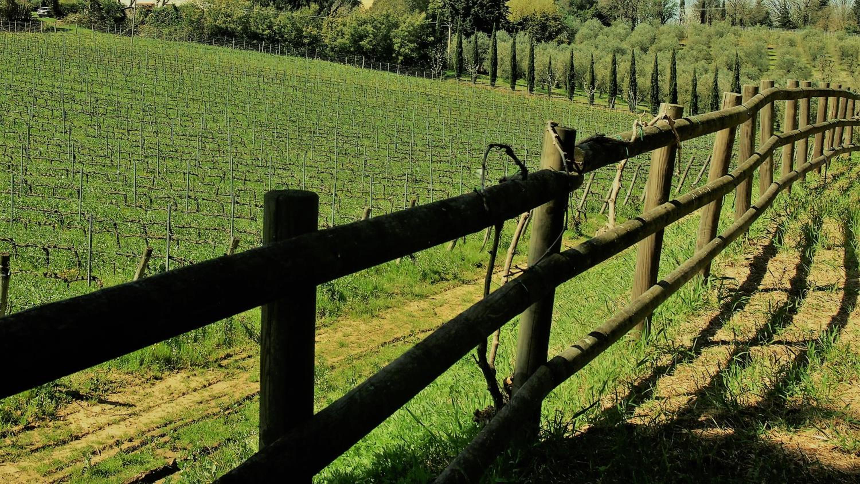 Agriturismo Gli Archi