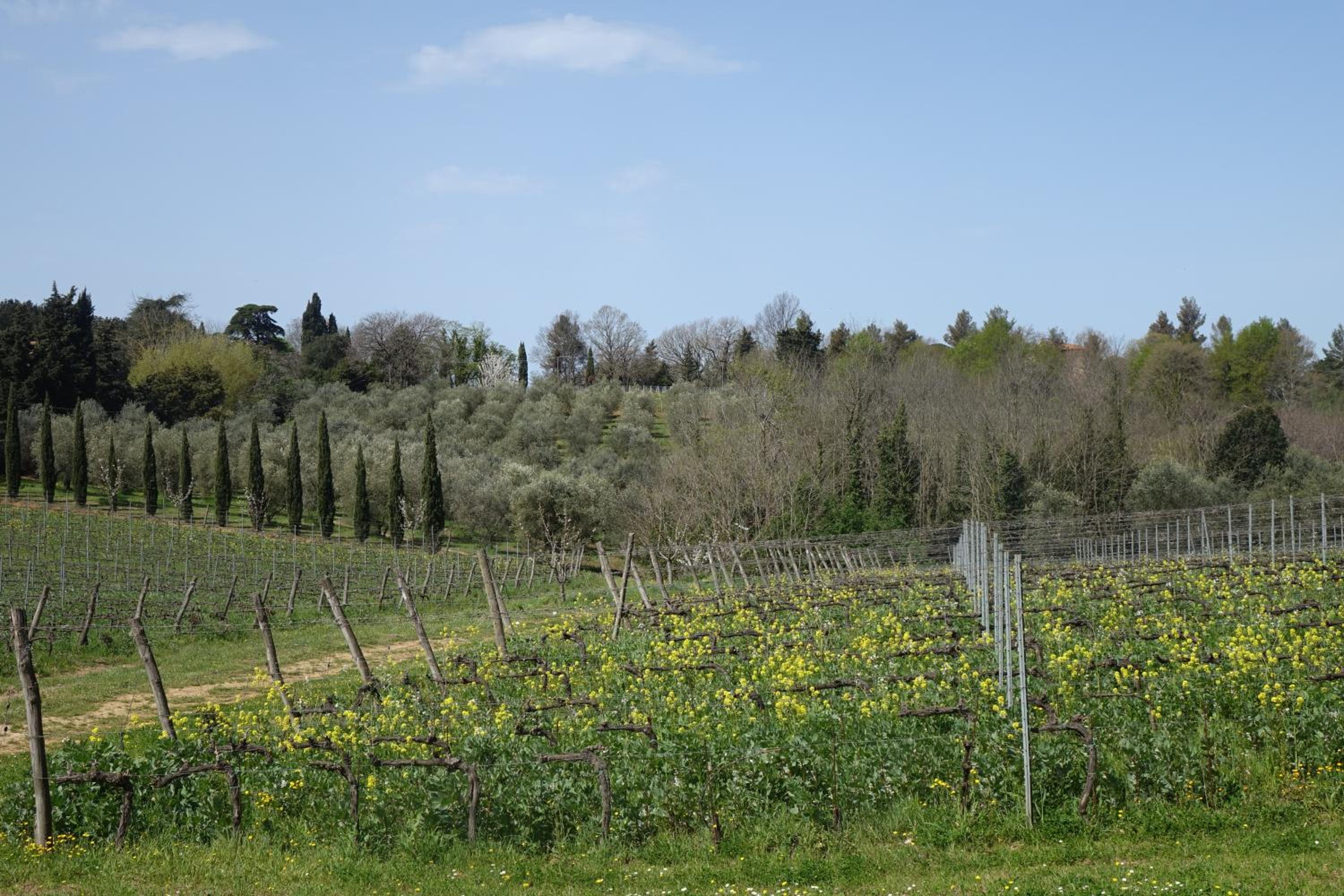 Agriturismo Gli Archi