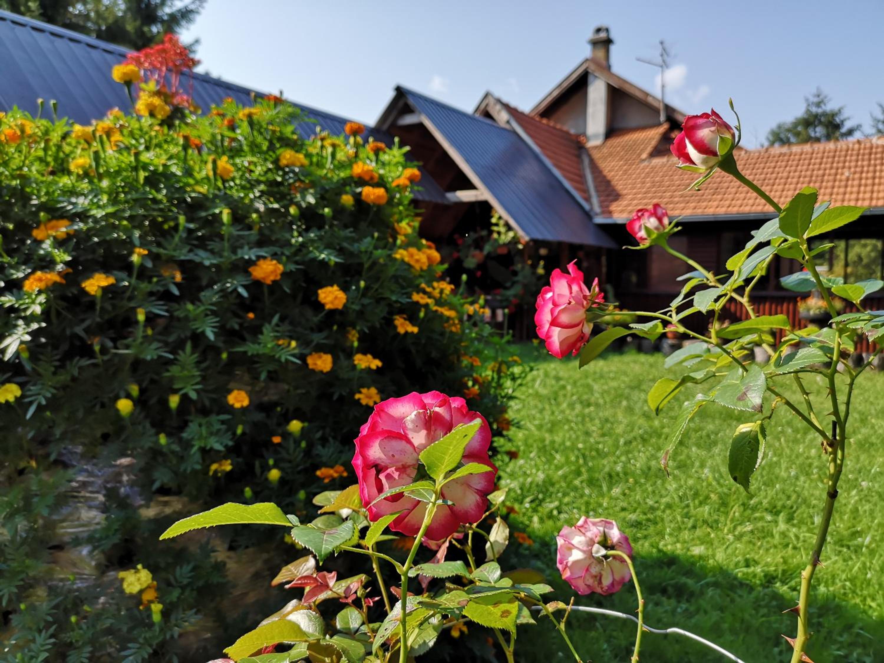 Guesthouse Ramović view 4